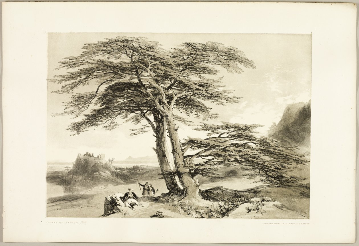  by James Duffield Harding