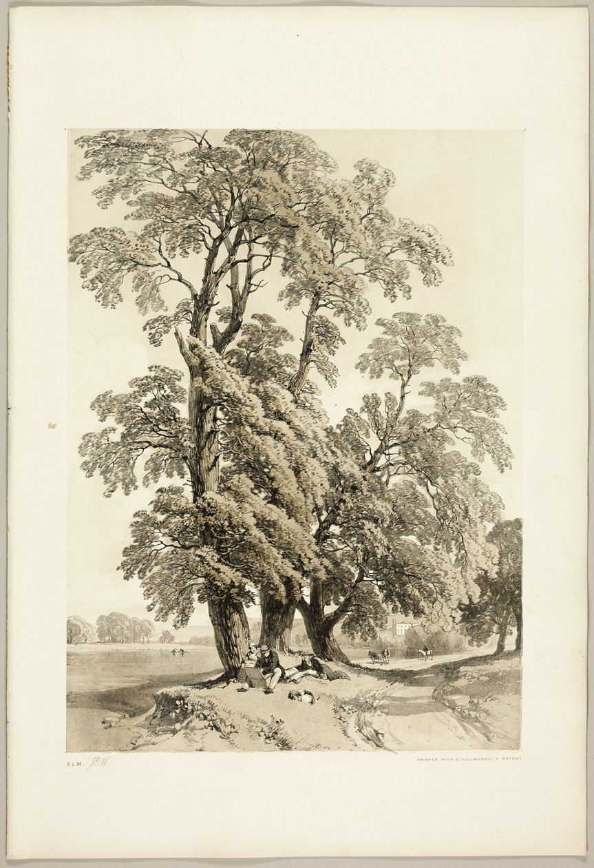 Karaağaç, Park ve Orman'dan by James Duffield Harding