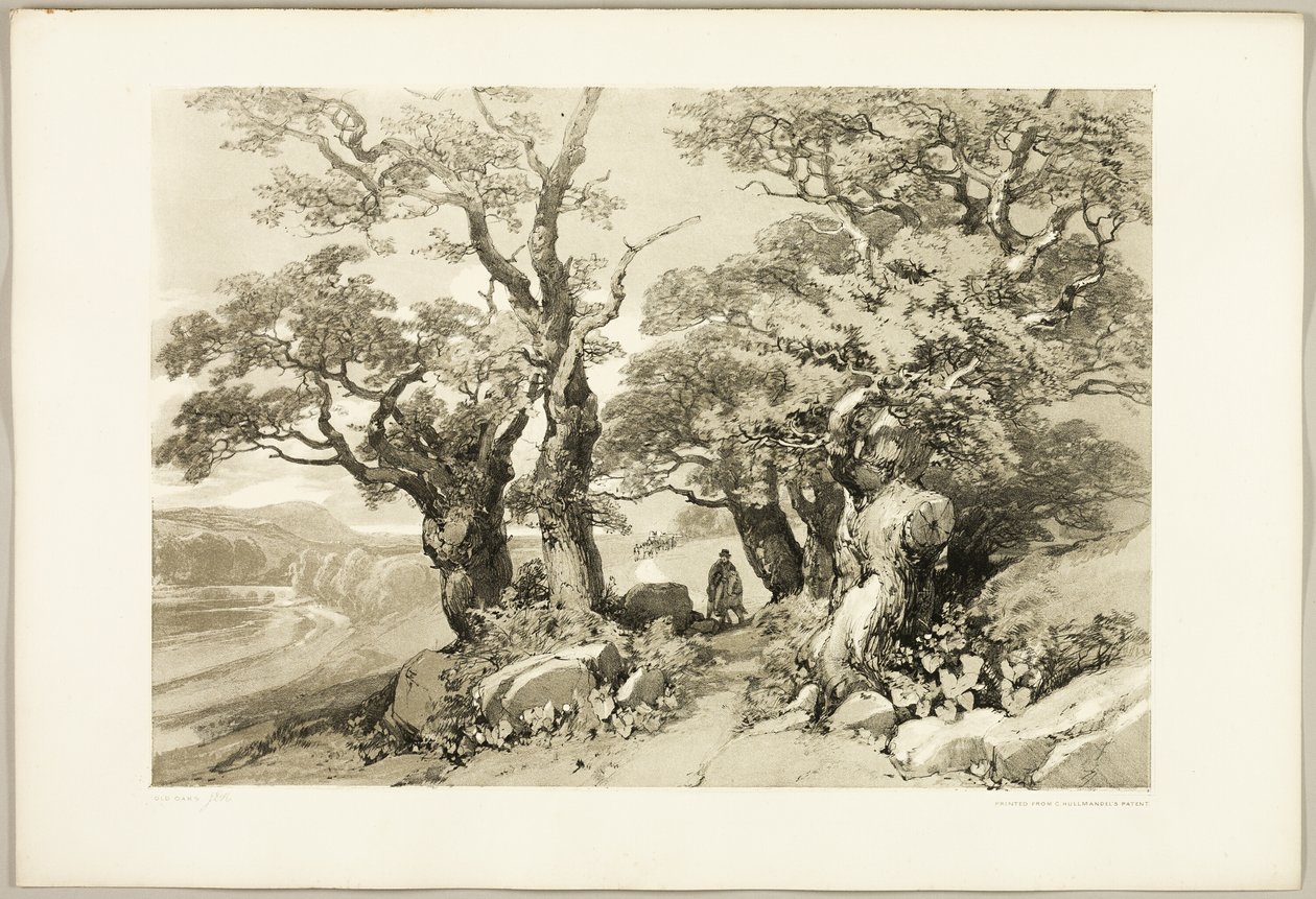 Park ve Orman'dan Eski Meşeler by James Duffield Harding
