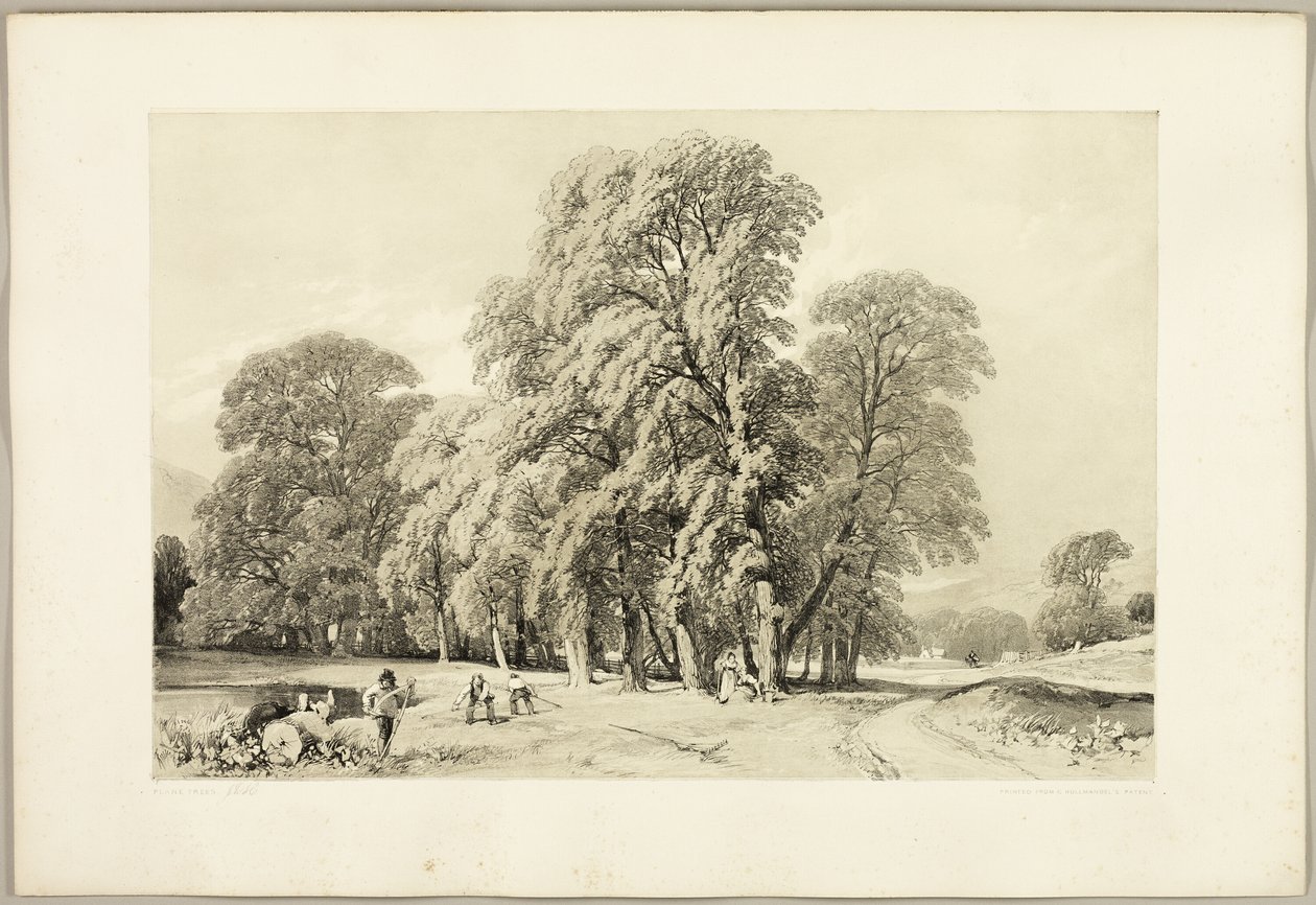 Çınarlar, Parktan ve Ormandan by James Duffield Harding