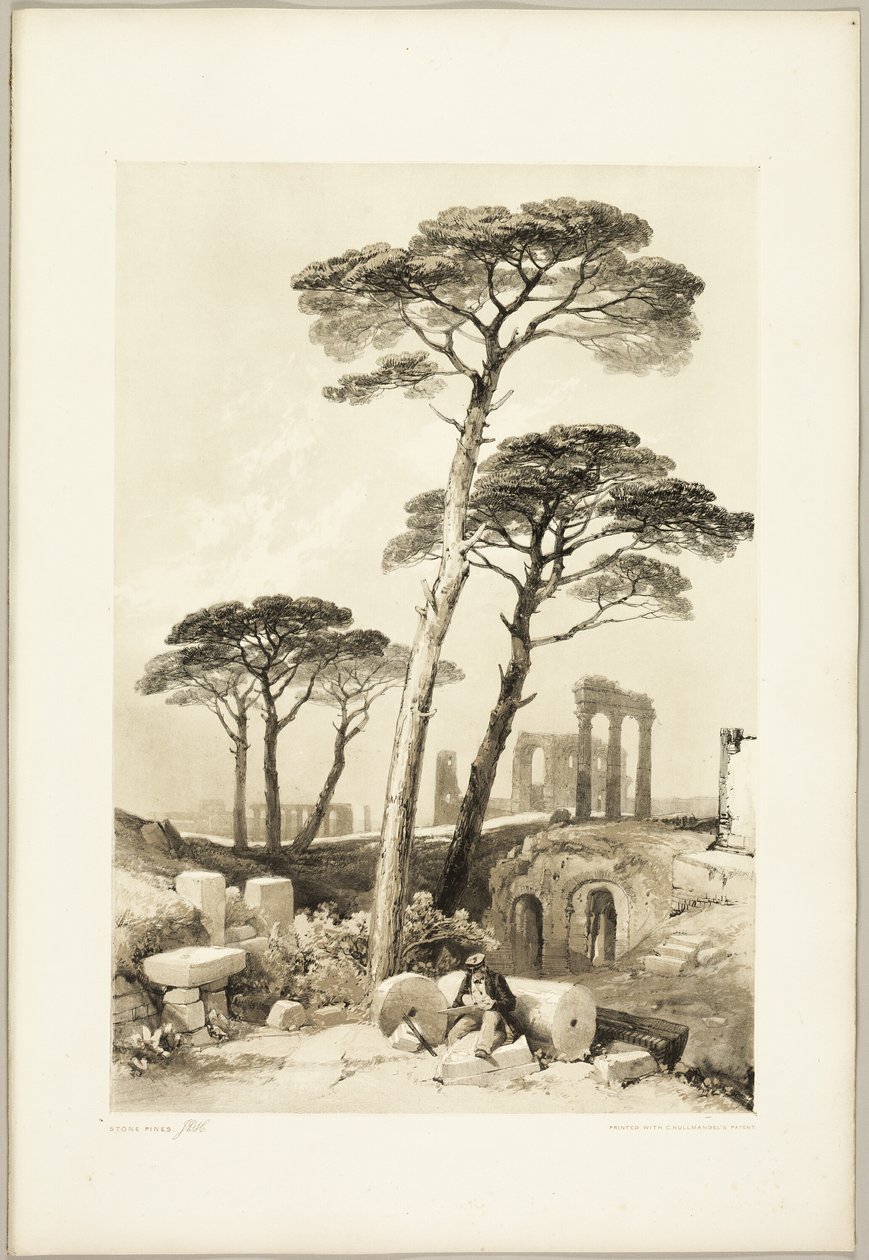 Park ve Ormandan Fıstık Çamları by James Duffield Harding