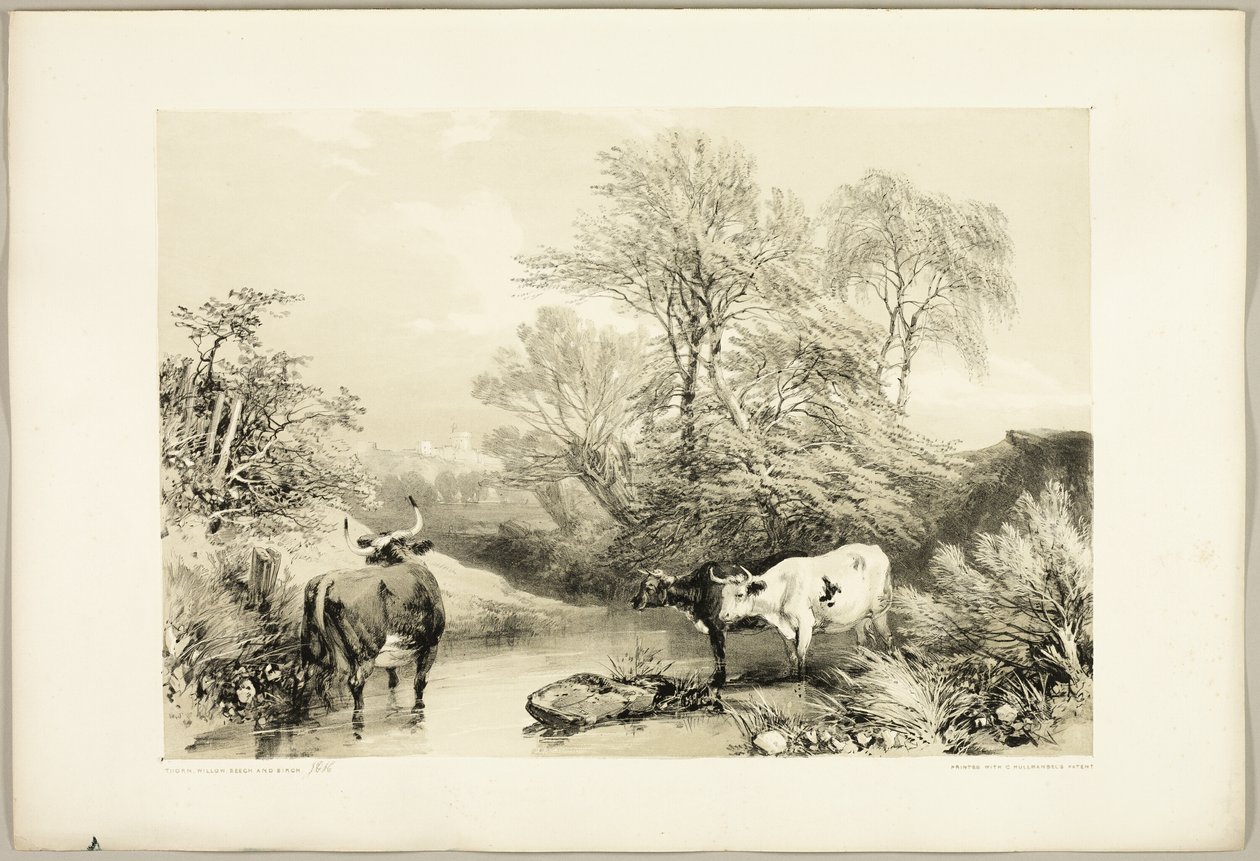 Park ve Ormandan Diken, Söğüt, Kayın ve Huş Ağacı by James Duffield Harding