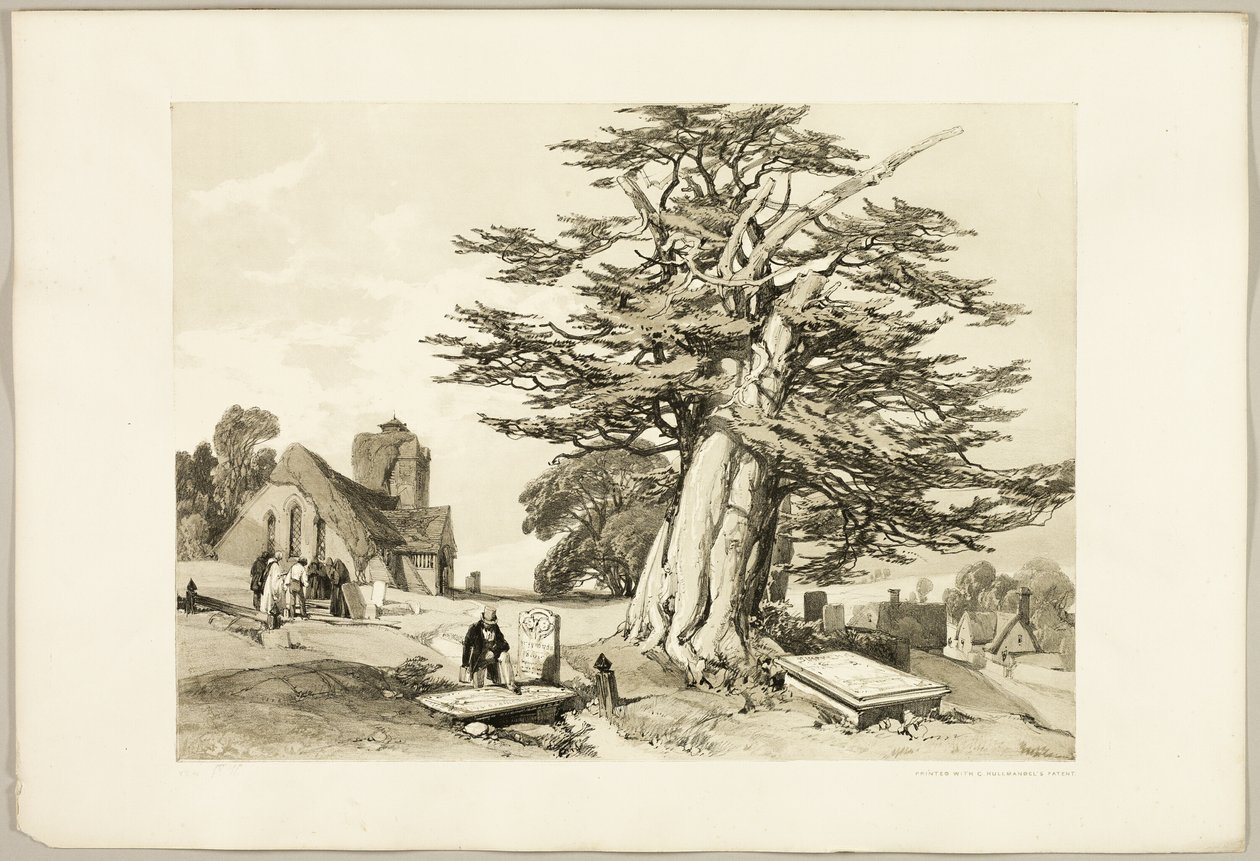 Porsuk, Park ve Orman'dan by James Duffield Harding