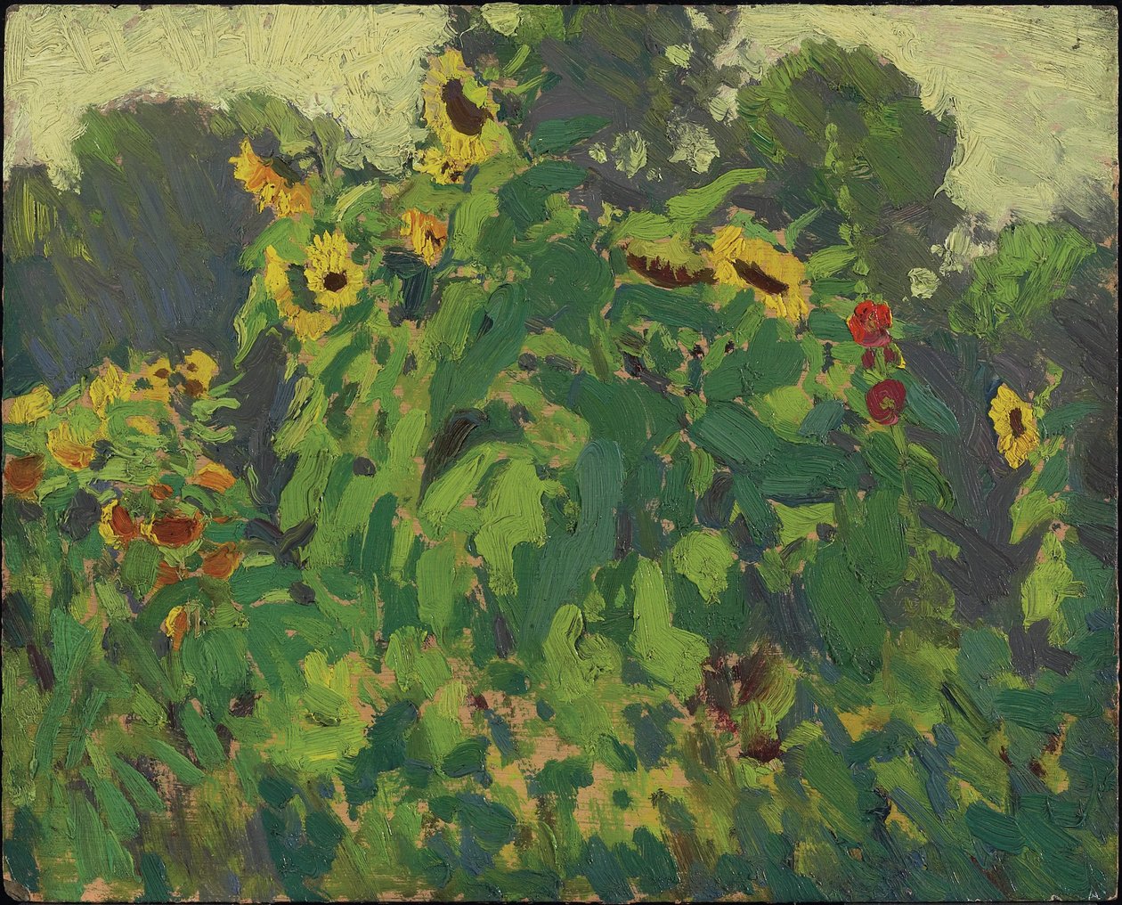 Ayçiçekleri, Thornhill, 1916 (bileşik odun hamuru tahtası üzerinde yağ) by James Edward Hervey Macdonald