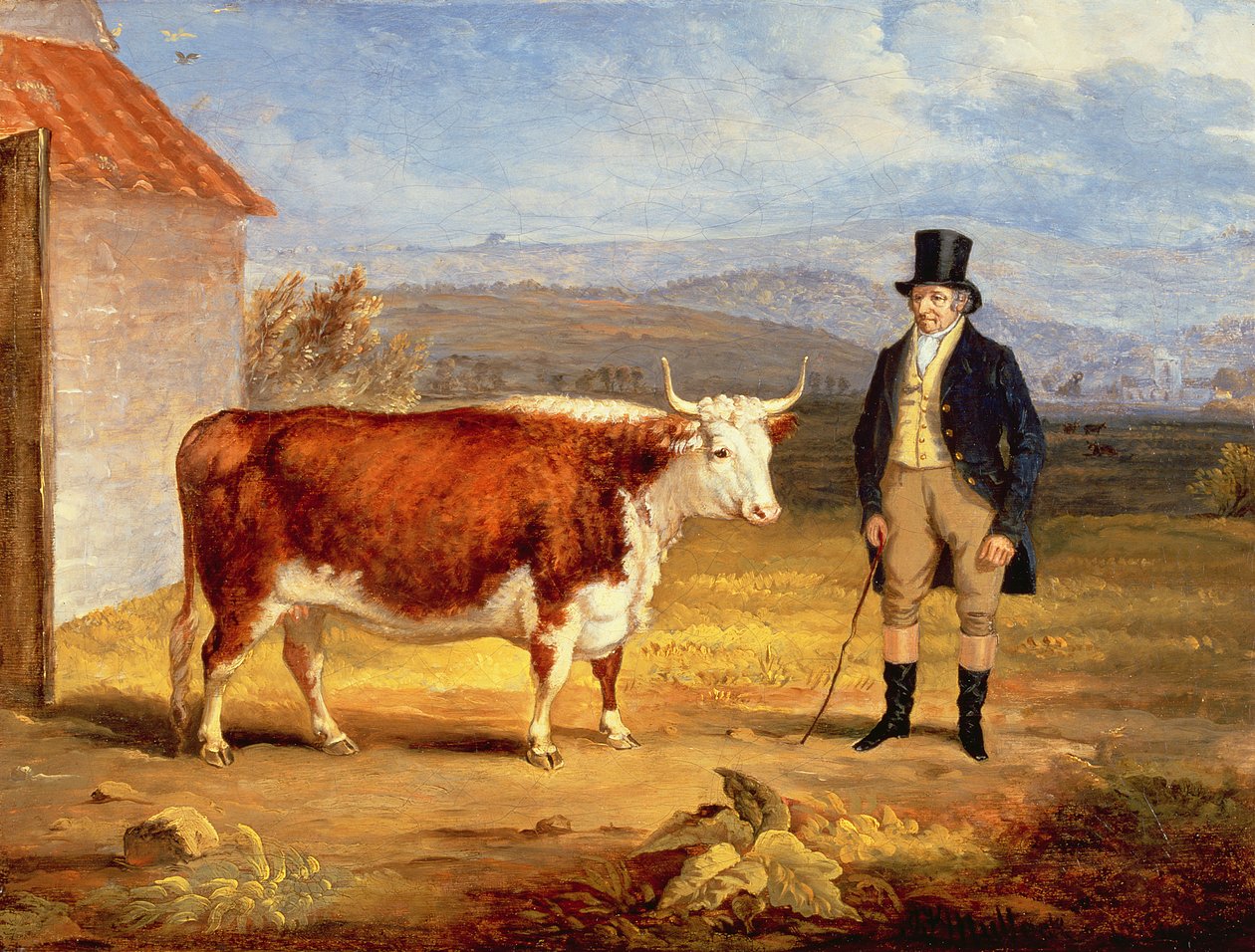 Bay James Hodges ve İki Yaşındaki Hereford Düvesi, 1843 dolayları by James Flewitt Mullock