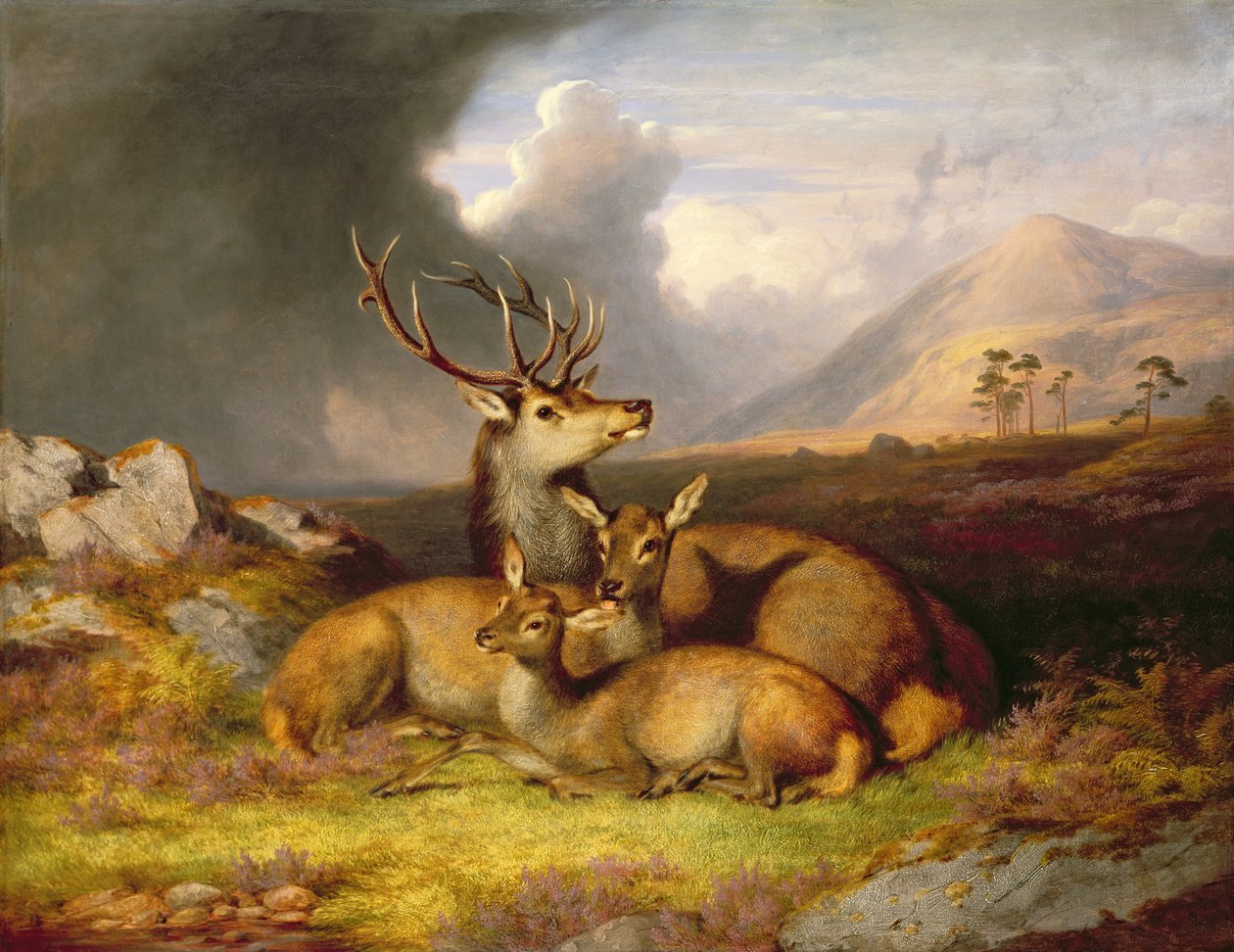 Arka planda Highland Felicity, Ben Lebrig by James Giles