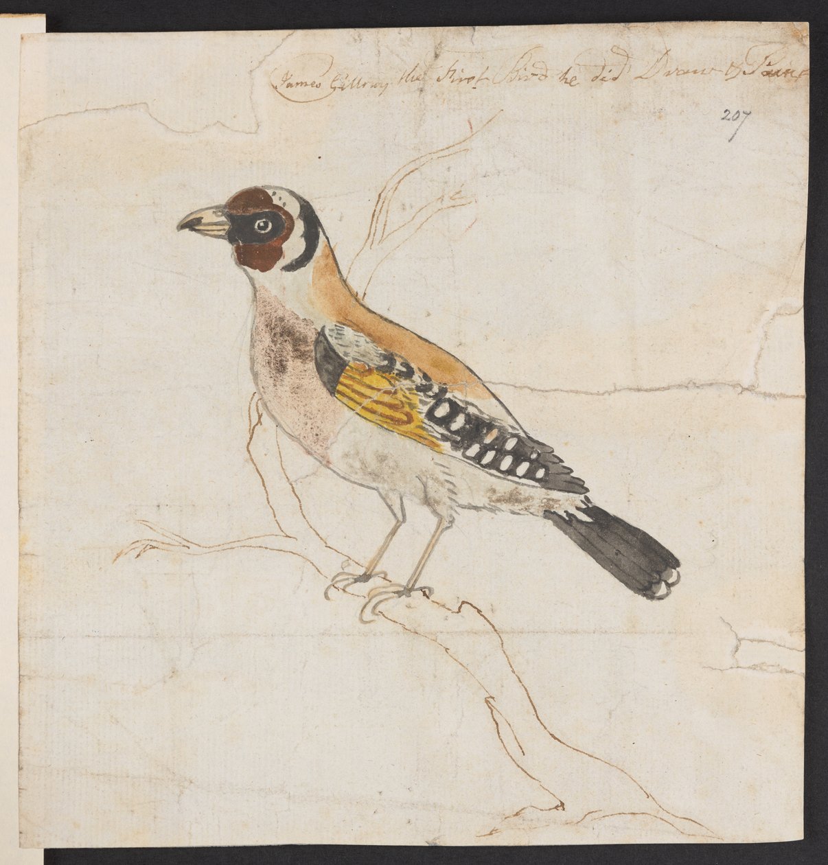 Kuş yavruları, c. 1757-1815 (suluboya ve mürekkep) by James Gillray