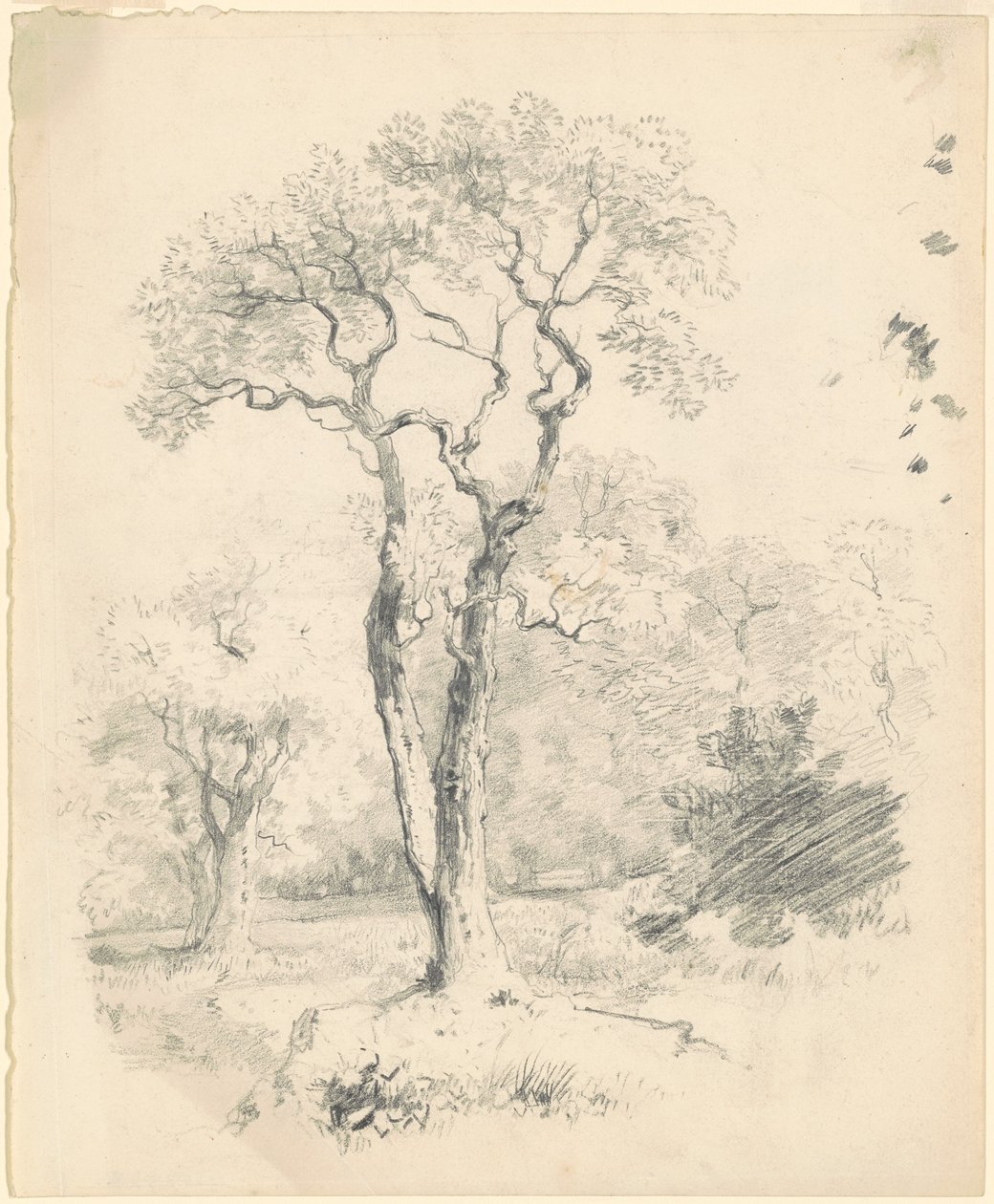 Ağaçların Kayışı by James Goodwyn Clonney