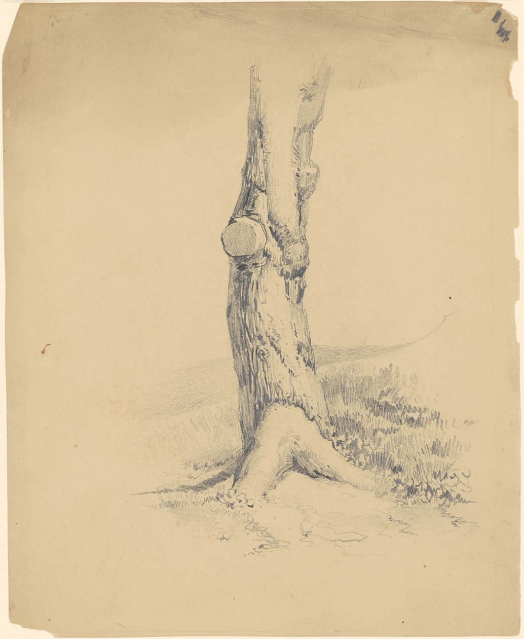 Yaşlı Ağaç Gövdesi by James Goodwyn Clonney