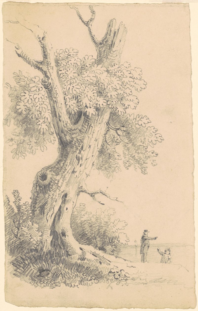 Sahile Yakın Ağaç by James Goodwyn Clonney