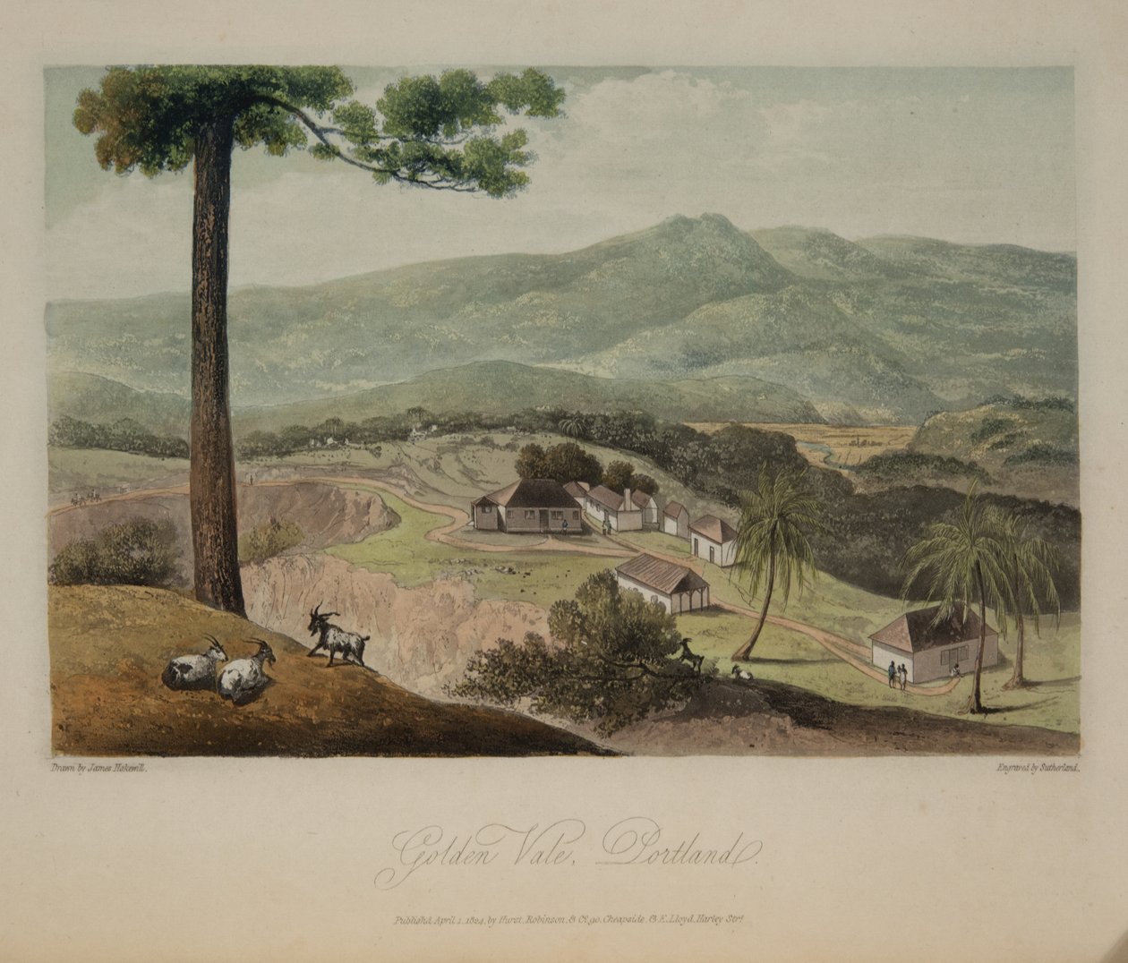 Altın Vadi, Portland by James Hakewill