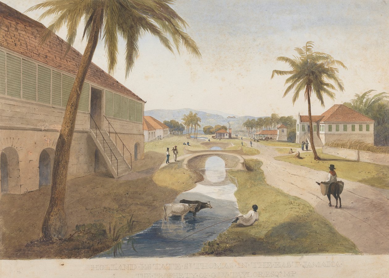 Holland Estate, Doğuda St. Thomas, Jamaika [Biri] by James Hakewill