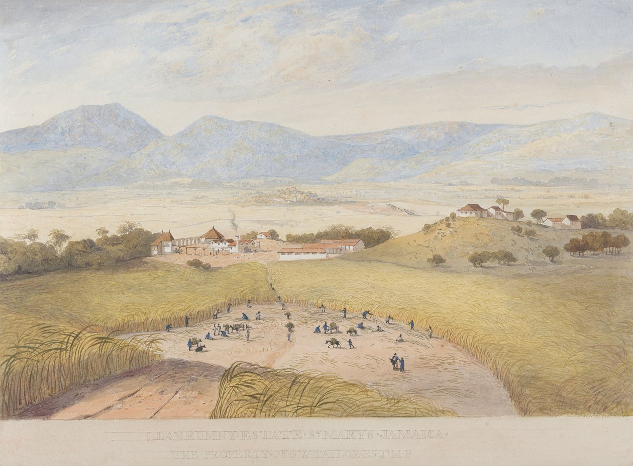 Llanrumny Malikanesi, St. Mary's, Jamaika by James Hakewill