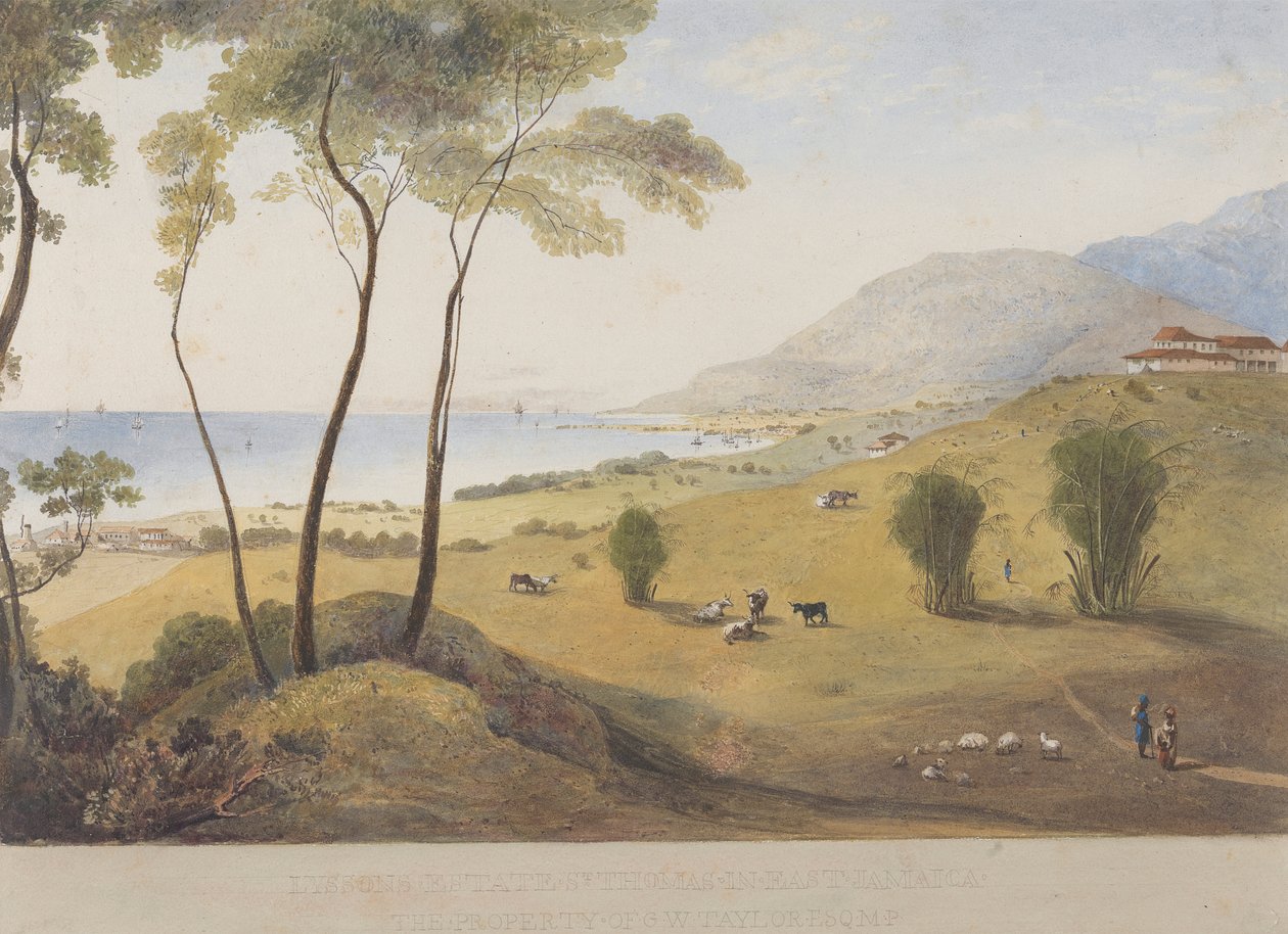 Lyssons Estate, Doğuda St. Thomas, Jamaika by James Hakewill