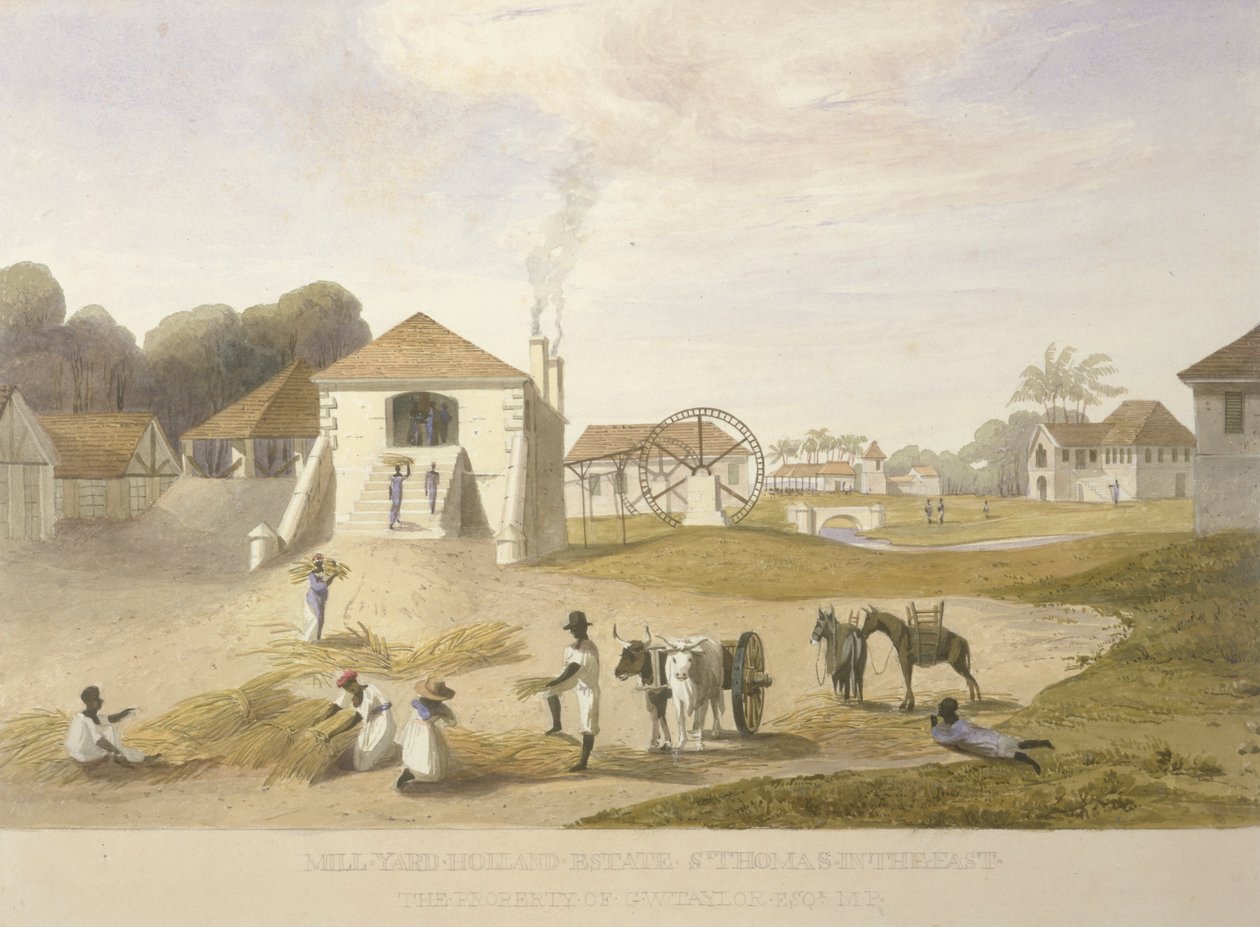 Mill Yard, Holland Estate, Doğuda St. Thomas by James Hakewill