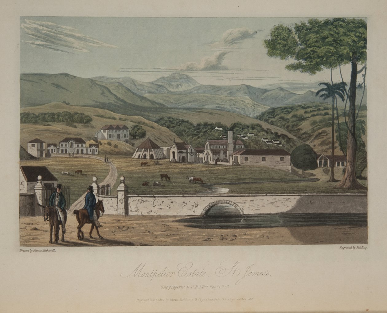 Montpelier Malikanesi, St. James's by James Hakewill