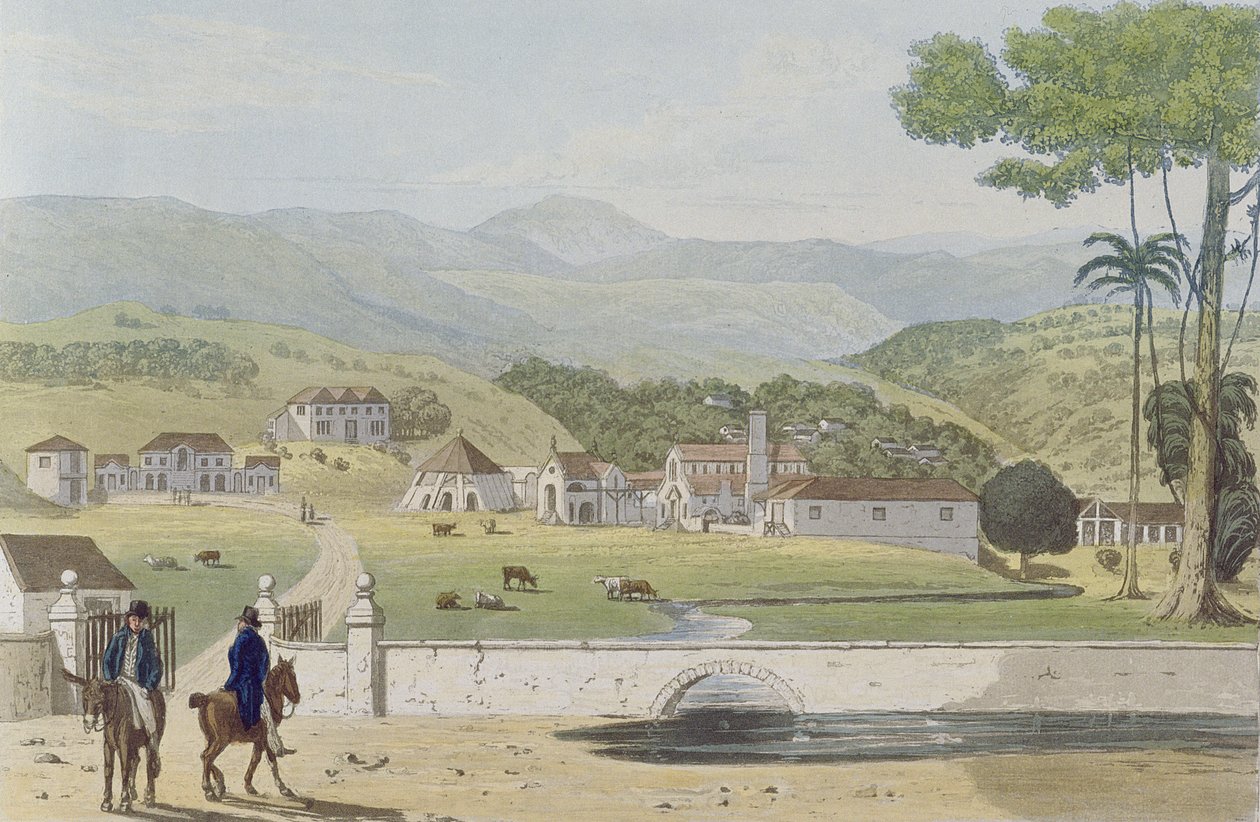 Montpelier Estates, St James, 