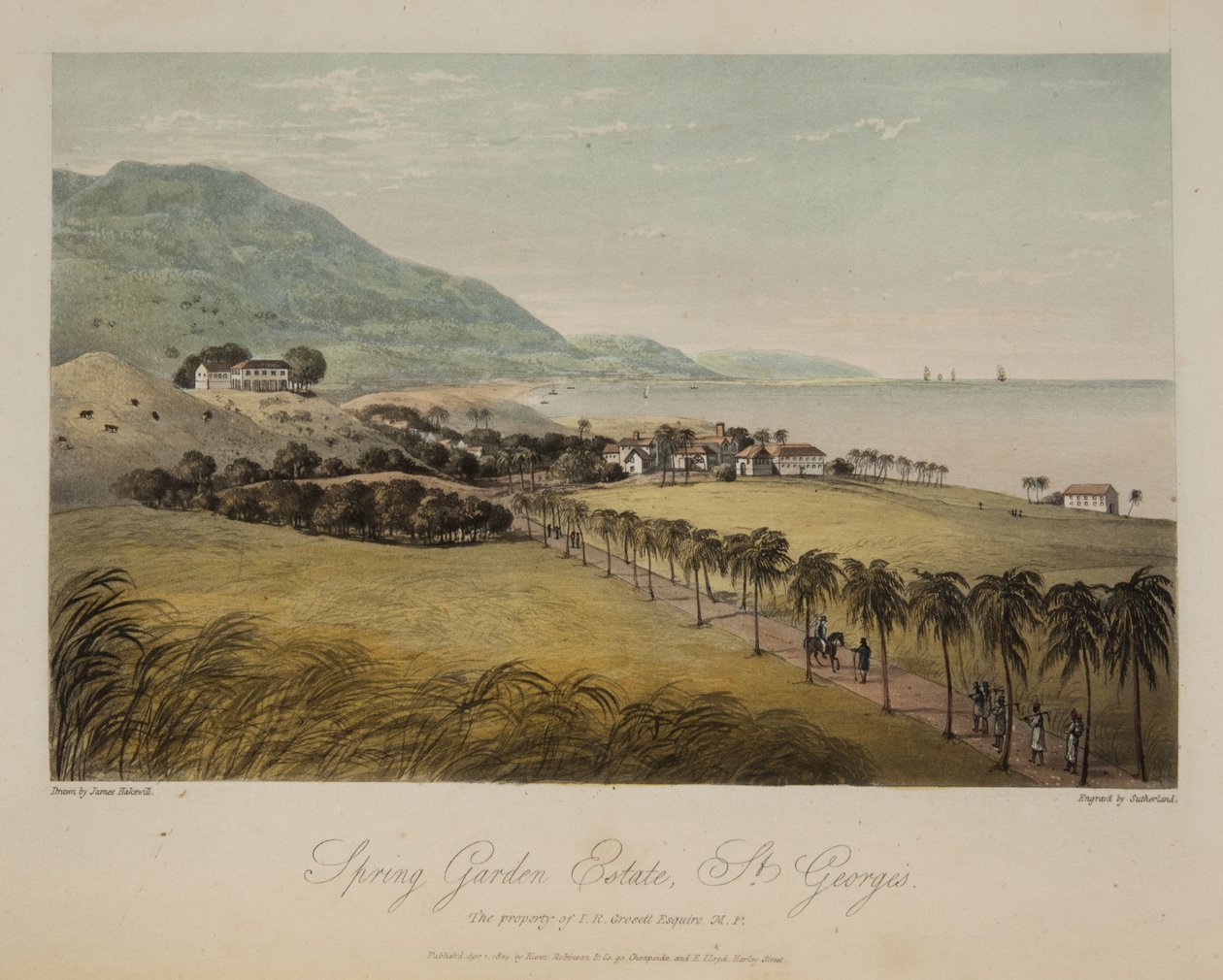 Spring Garden Estate, St. George's by James Hakewill