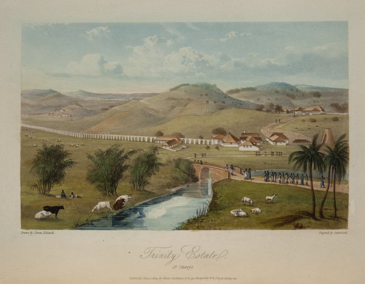 Trinity Estate. Mary