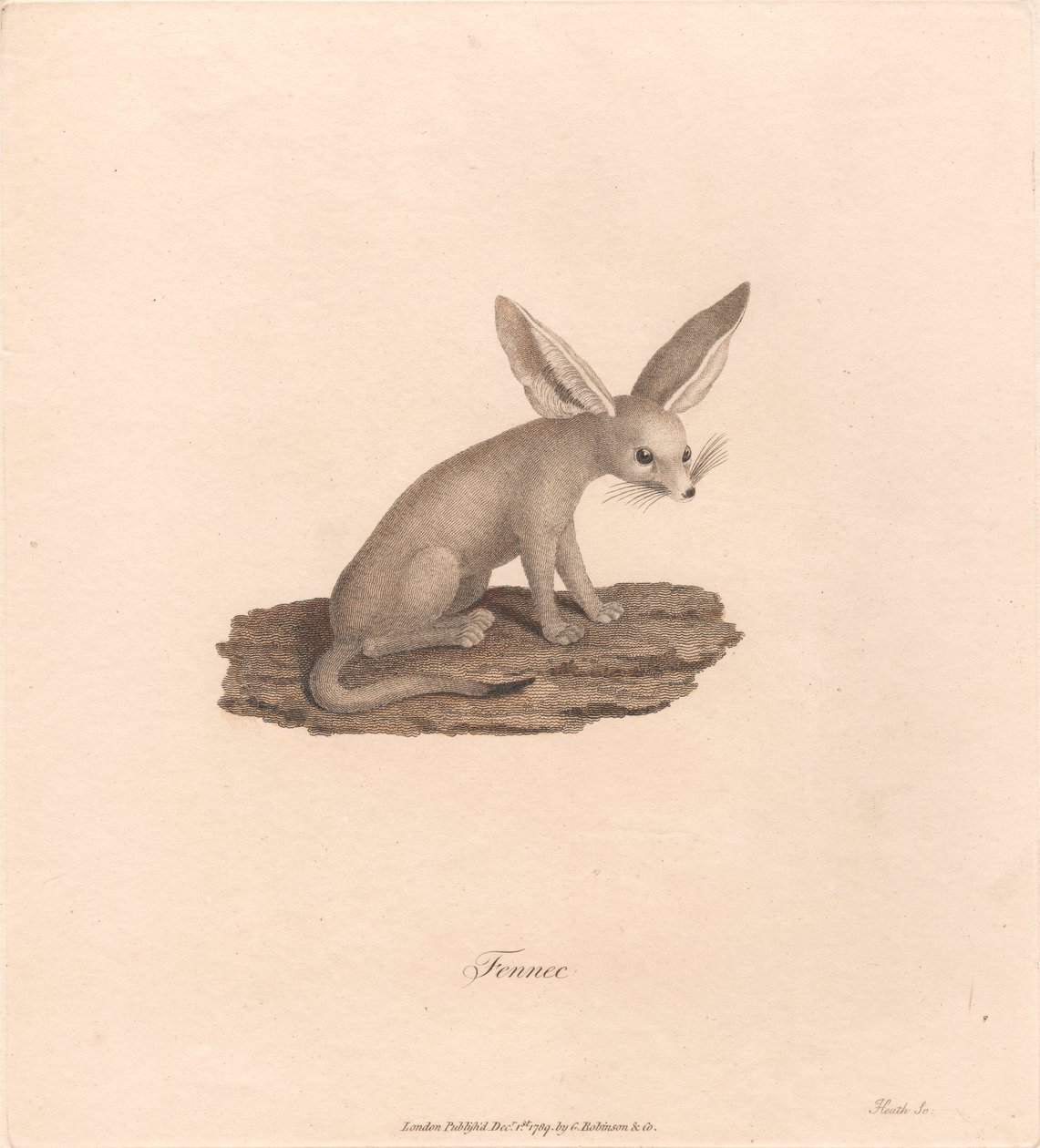 rezene by James Heath