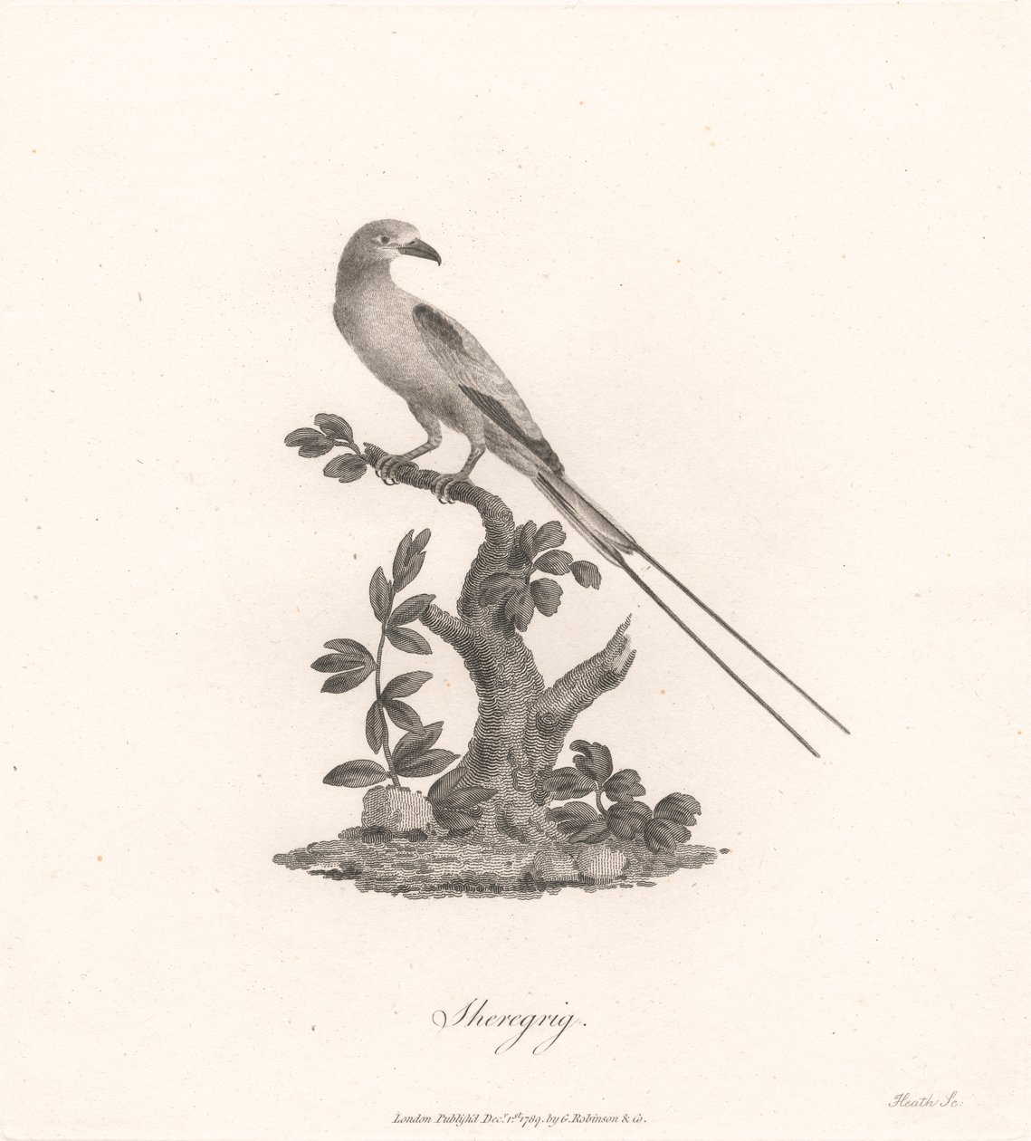 Şeregrig by James Heath