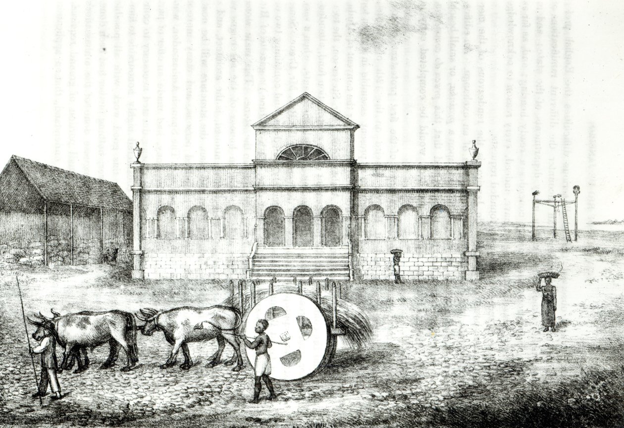 The Rio Exchange, a Public Trapiche, a Grass Wagon and the Darağacı, James Henderson