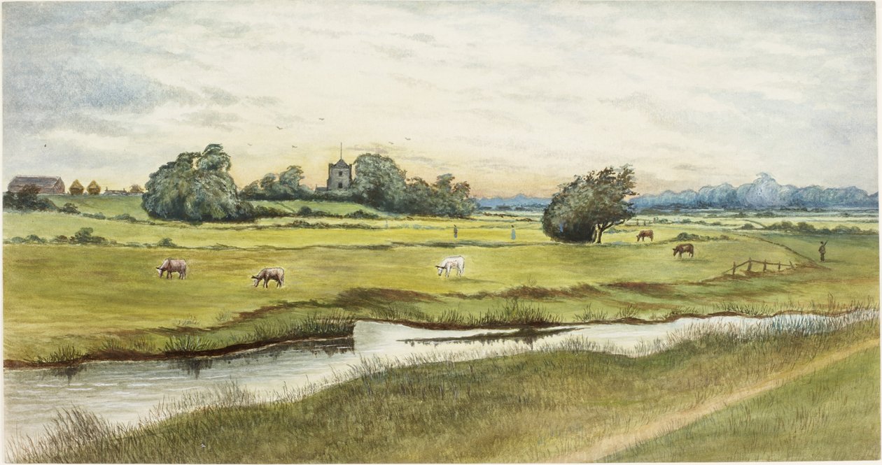 Ryton Meadows (kağıt üzerine suluboya ve gövde rengi) by James Henry Cleet