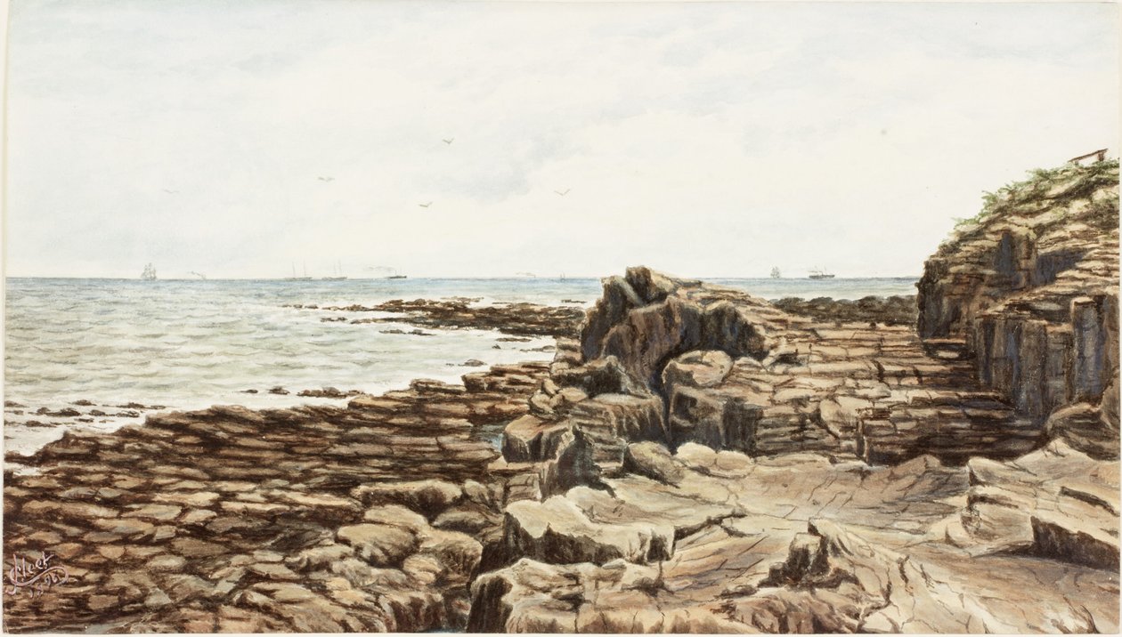 Sharpness Point'ten Tynemouth (kağıt üzerinde suluboya ve gövde rengi) by James Henry Cleet