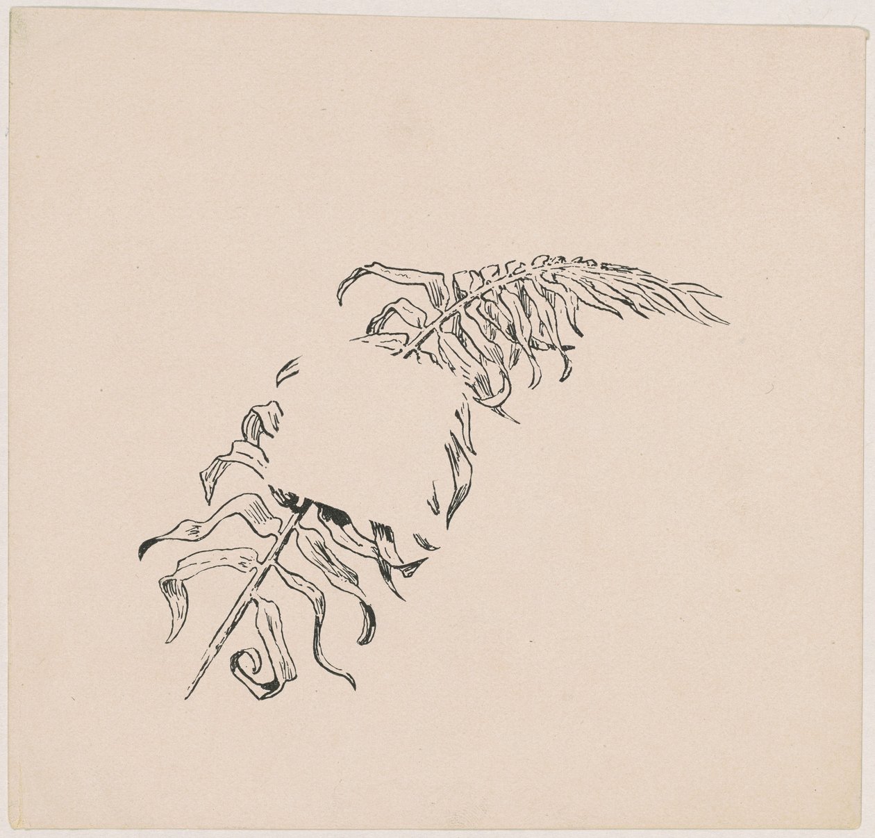 Dal by James Henry Moser