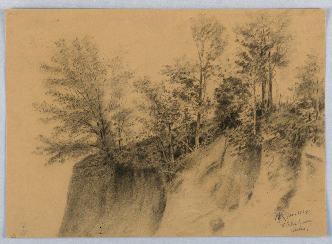 Uçurum ve Ağaçlar, Vicksburg, Bayan. by James Henry Moser