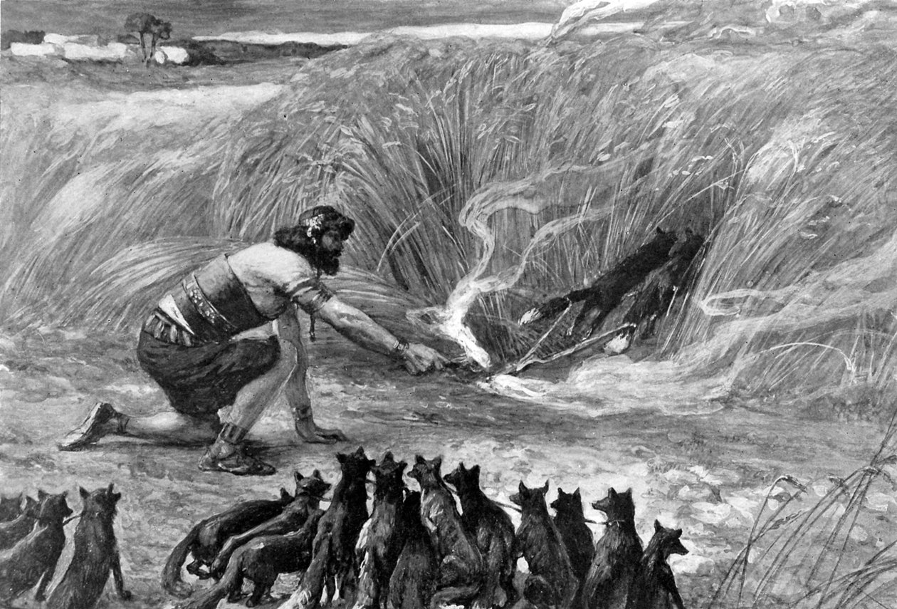 Samson ve tilkiler J James Tissot - İncil by James Jacques Joseph (after) Tissot