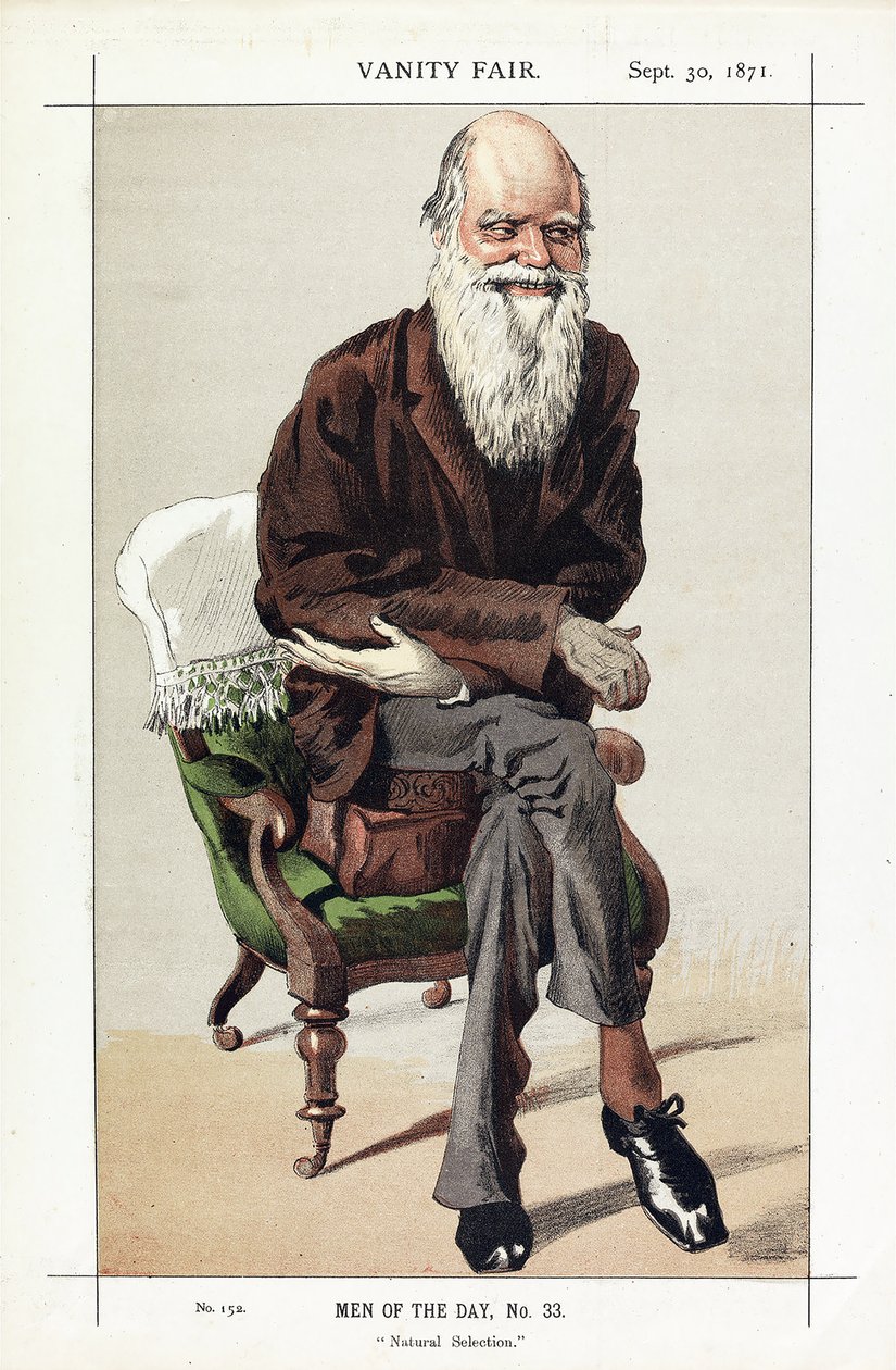 Charles Darwin, Günün Adamları, No. 33, Doğal Seleksiyon, Vanity Fair, pub. 1871 by James Jacques Joseph Tissot