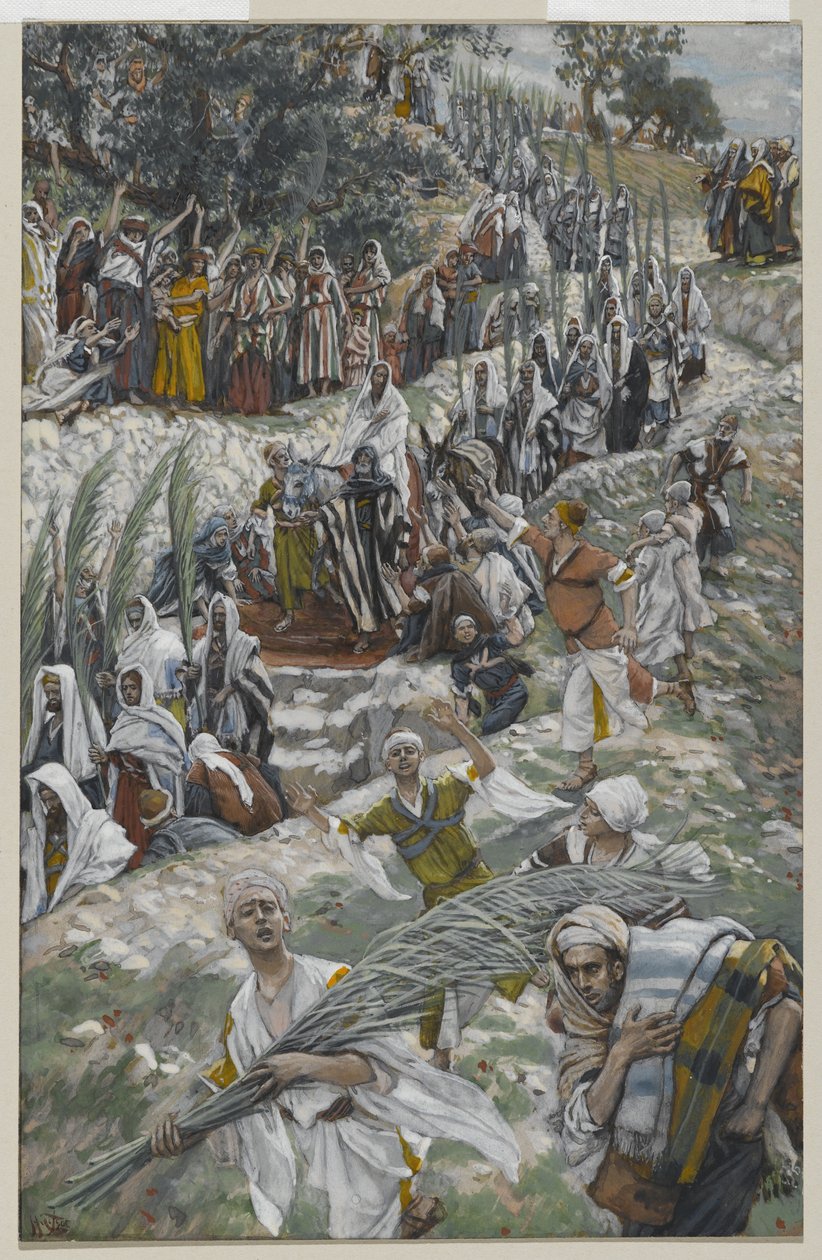 Zeytin Dağı