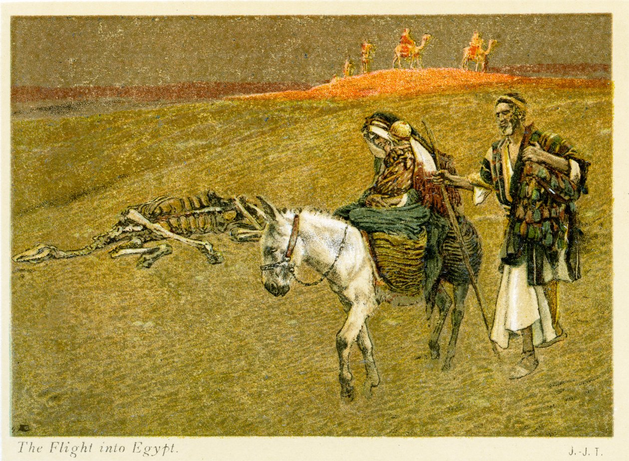 Mısır