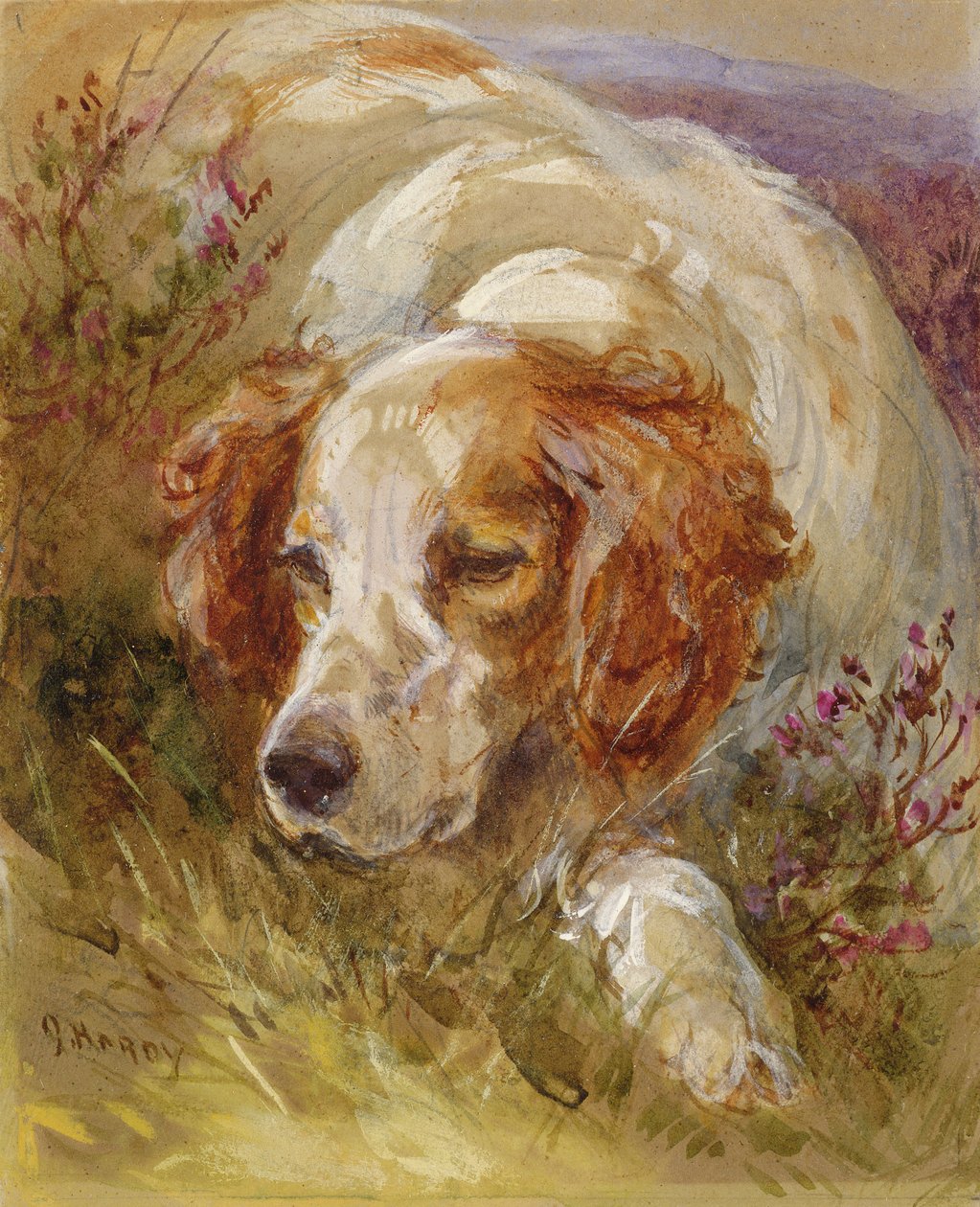 Bir Spaniel (kağıt üzerinde tuvalet ve gövde rengi) by James Jnr Hardy