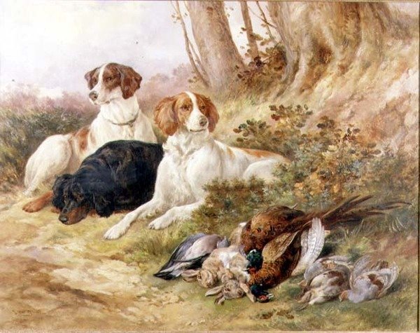 Koruma altinda by James Jnr Hardy