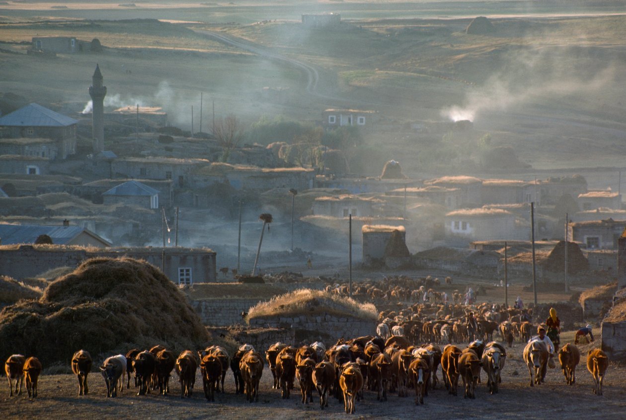  by James L Stanfield
