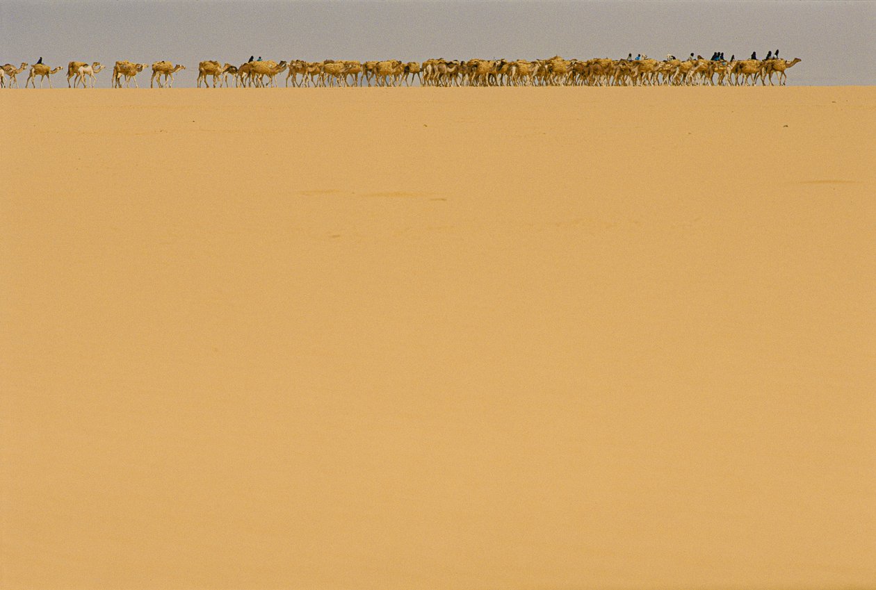  by James L Stanfield