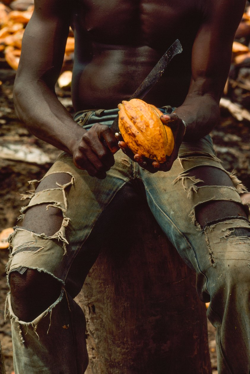  by James L Stanfield