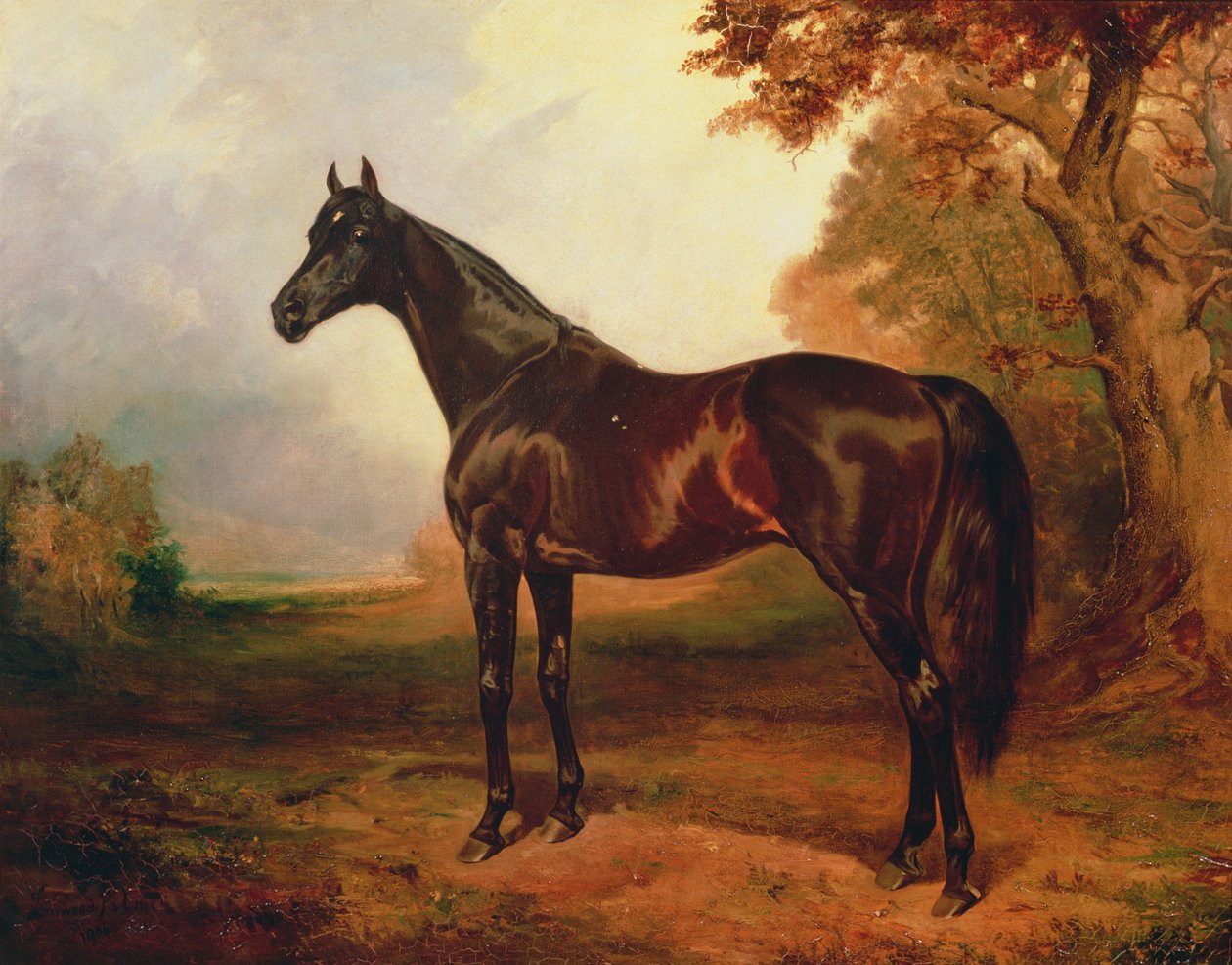 Aziz Simon, 1906 by James Lynwood Palmer
