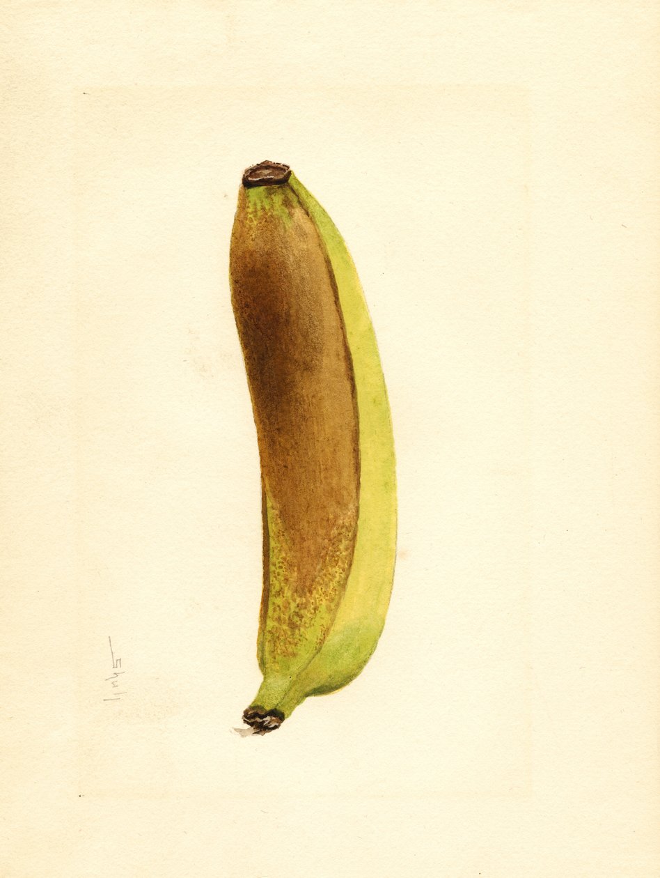  by James Marion Shull