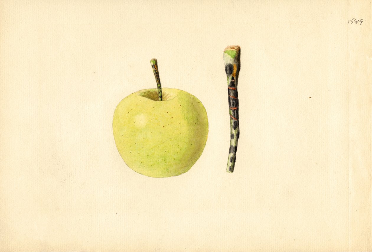  by James Marion Shull