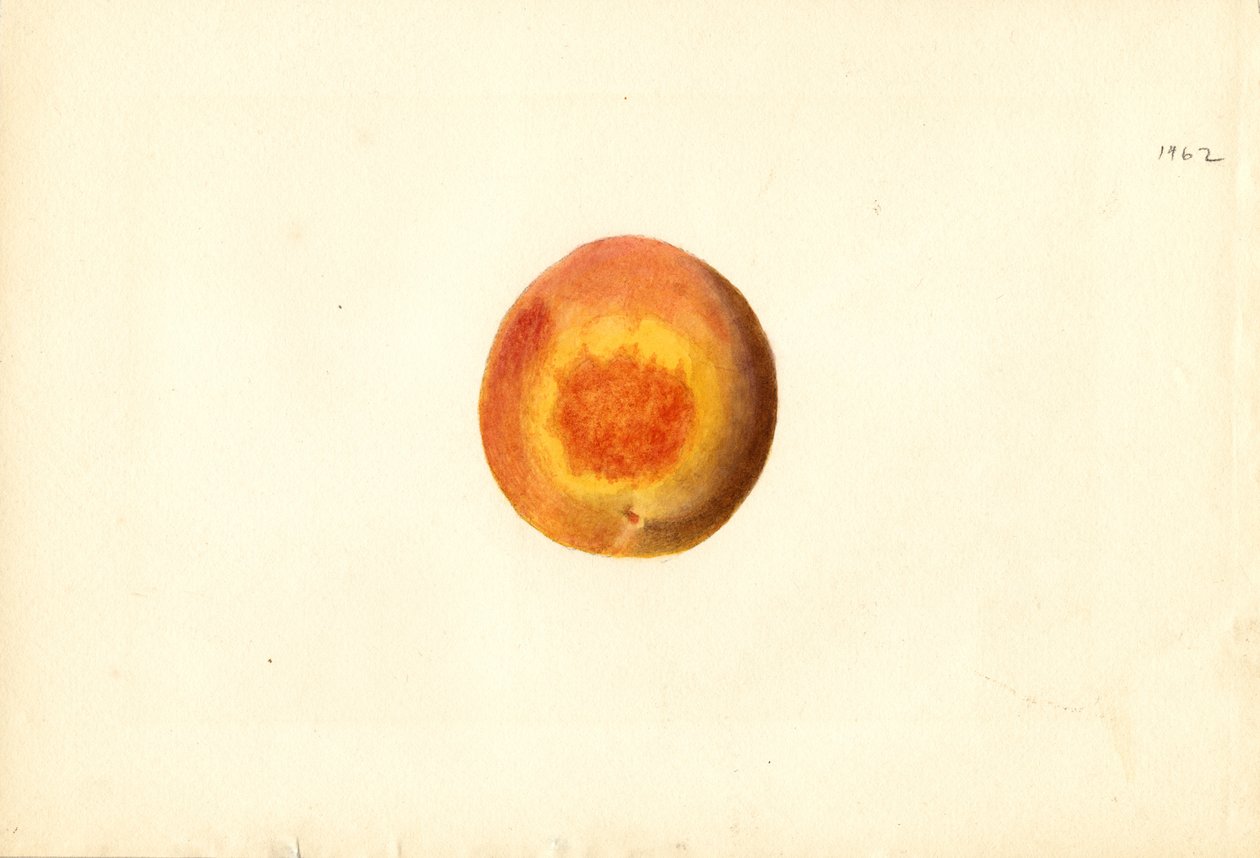  by James Marion Shull