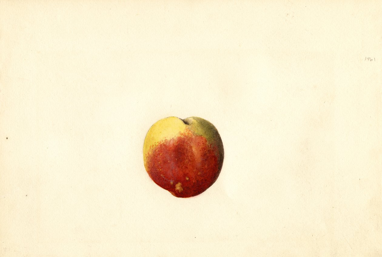  by James Marion Shull