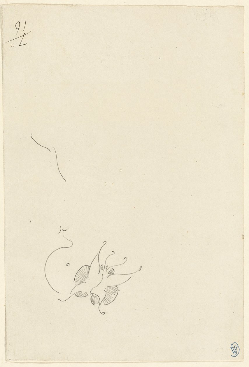 Kelebek by James Abbott McNeill Whistler
