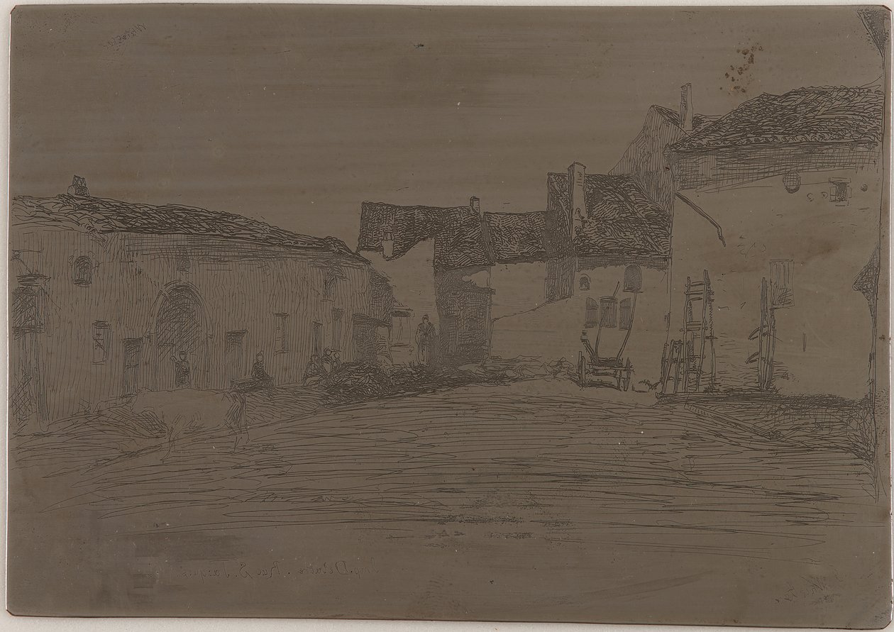 Karaciğer. <em>Doğadan On İki Gravür</em>