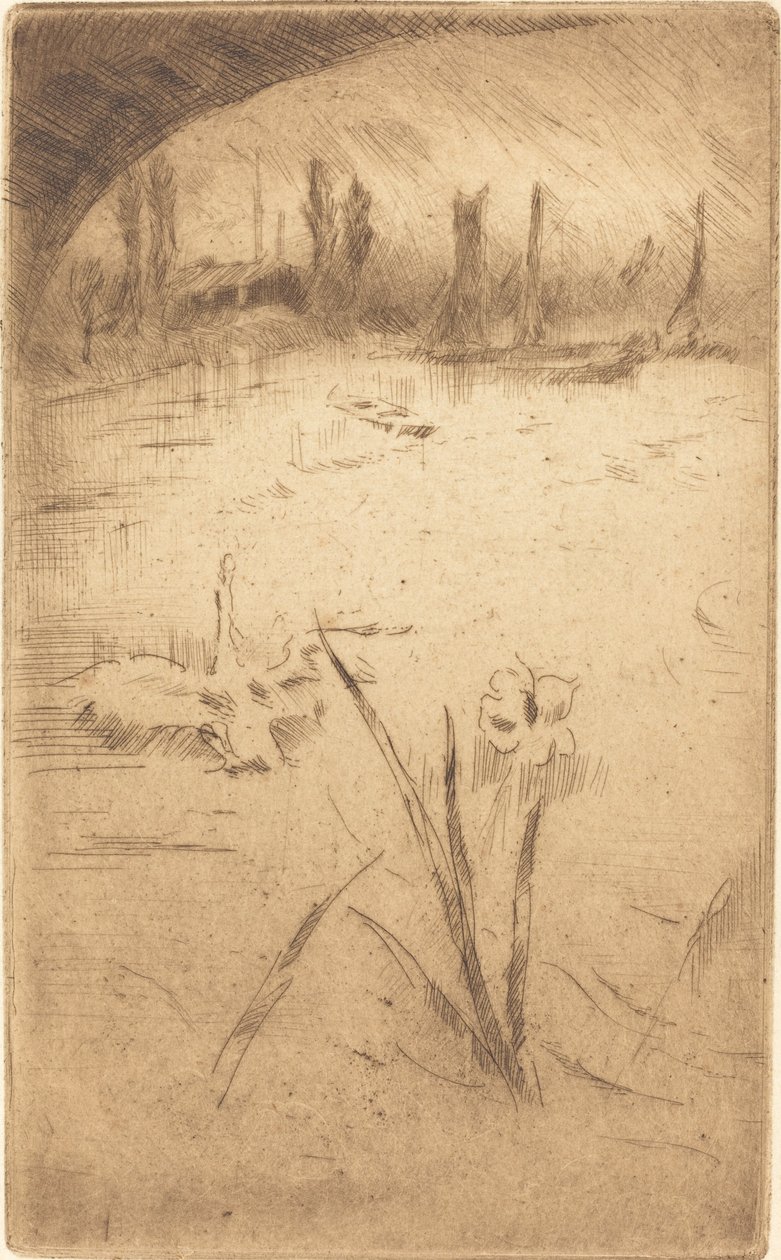 Kuğu ve İris by James Abbott McNeill Whistler