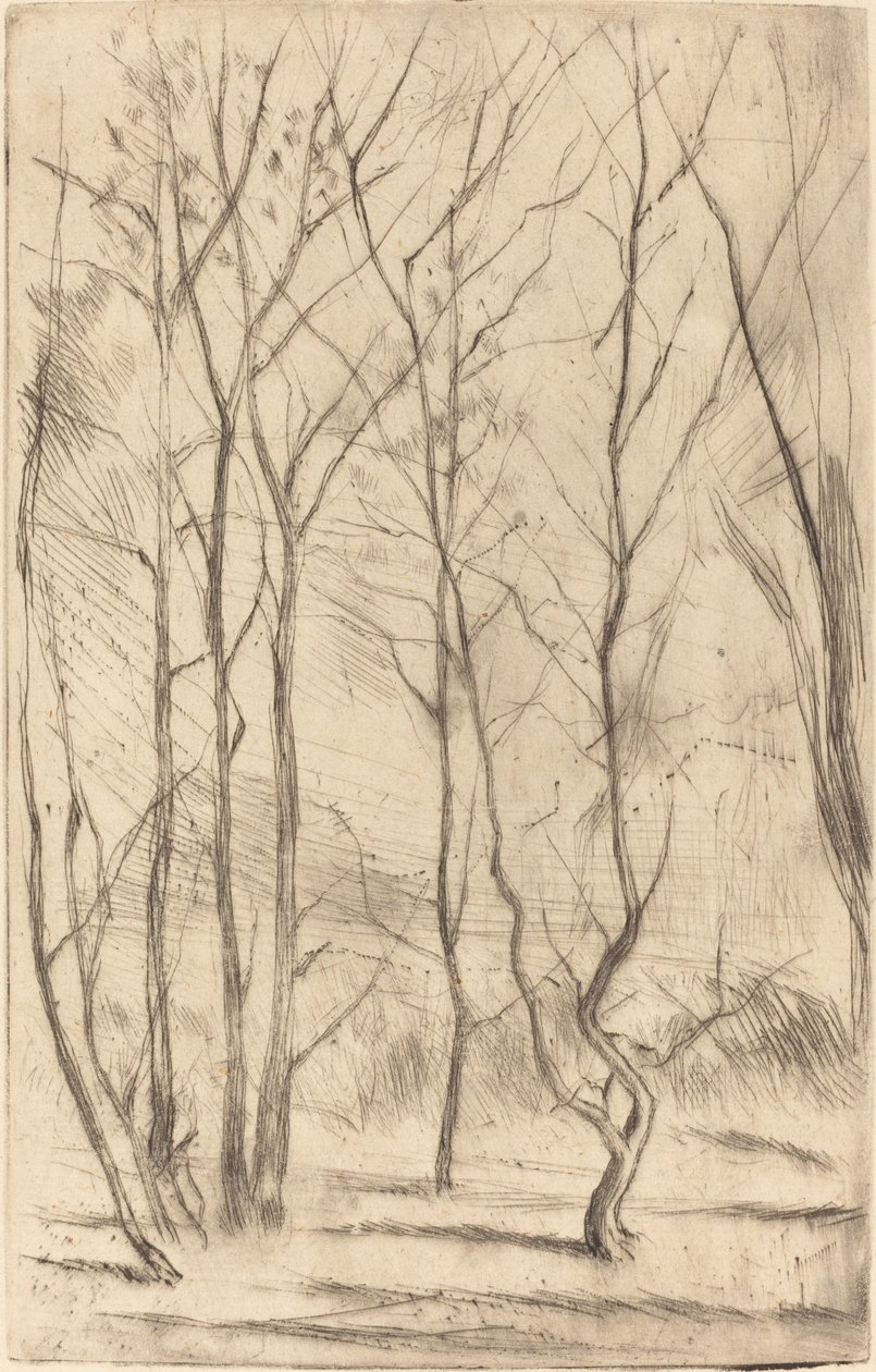 Baraj Ağacı by James Abbott McNeill Whistler