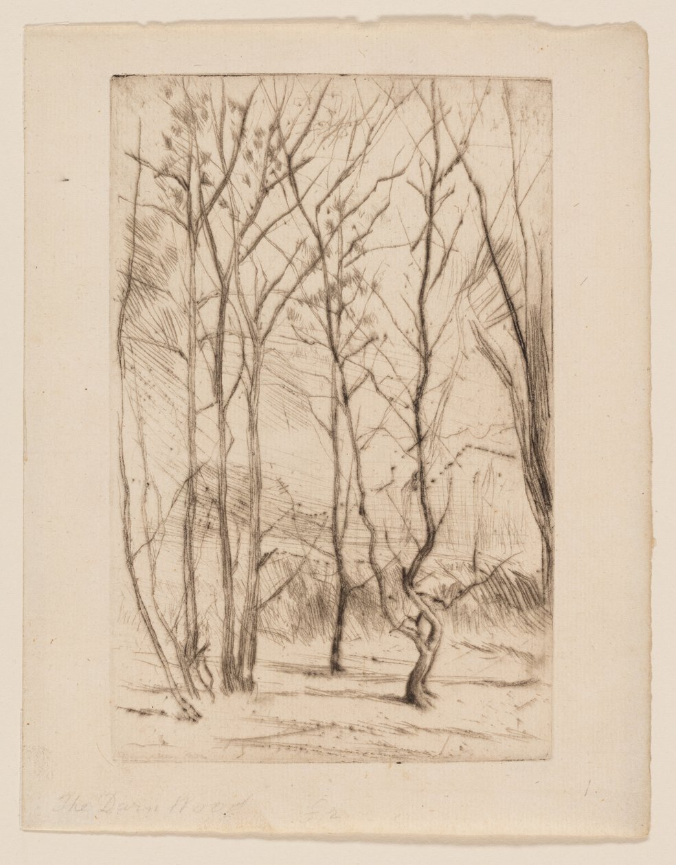 Baraj Ağacı by James Abbott McNeill Whistler