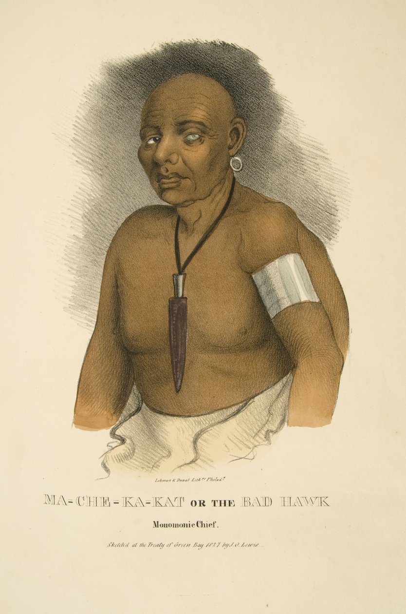 Mama-ch-ka-cut ve kötü şahin by James Otto Lewis